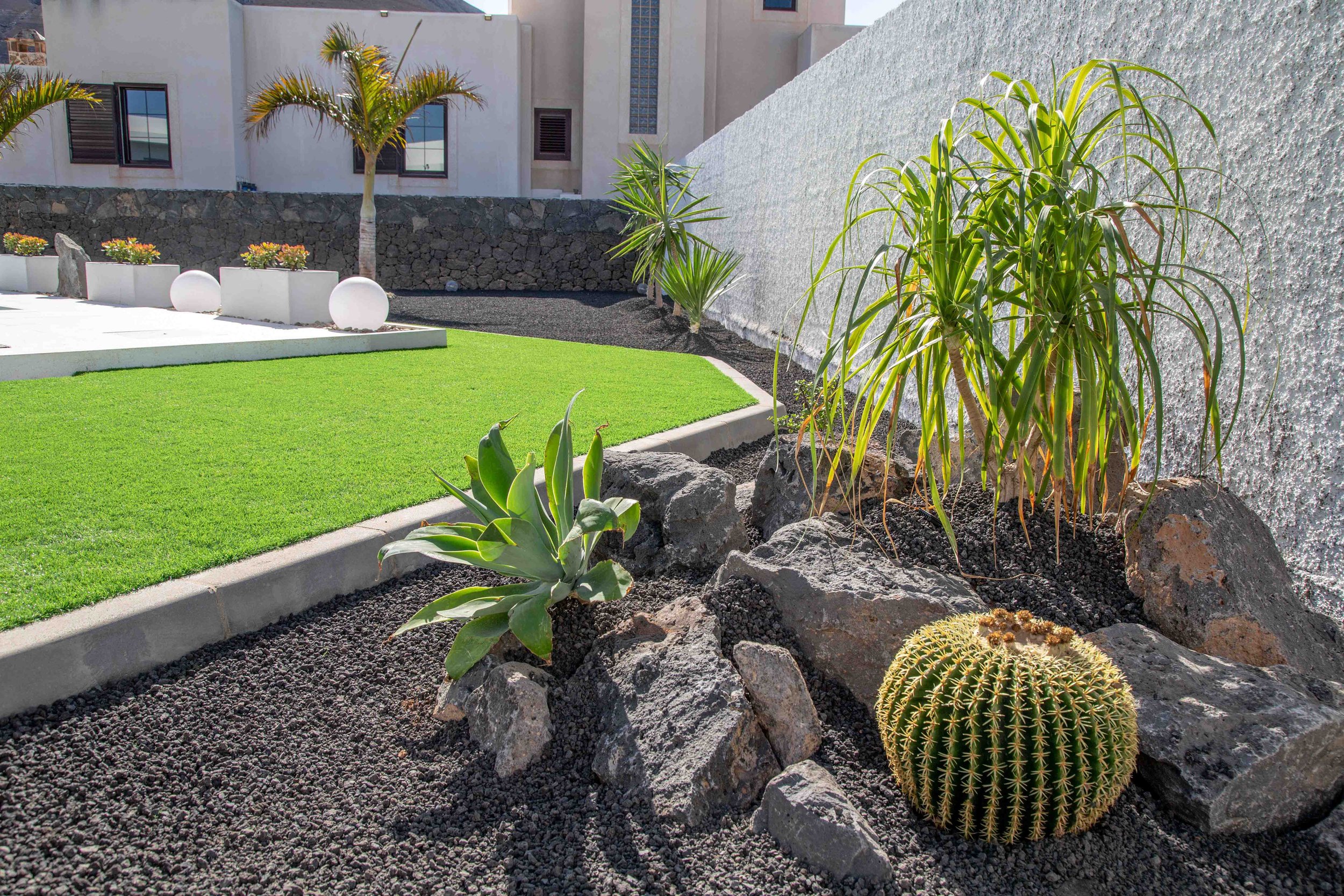 Decorative garden area with a cactus, succulents, and ornamental grasses surrounded by rocks and gravel, with a white textured wall and modern building in the background.