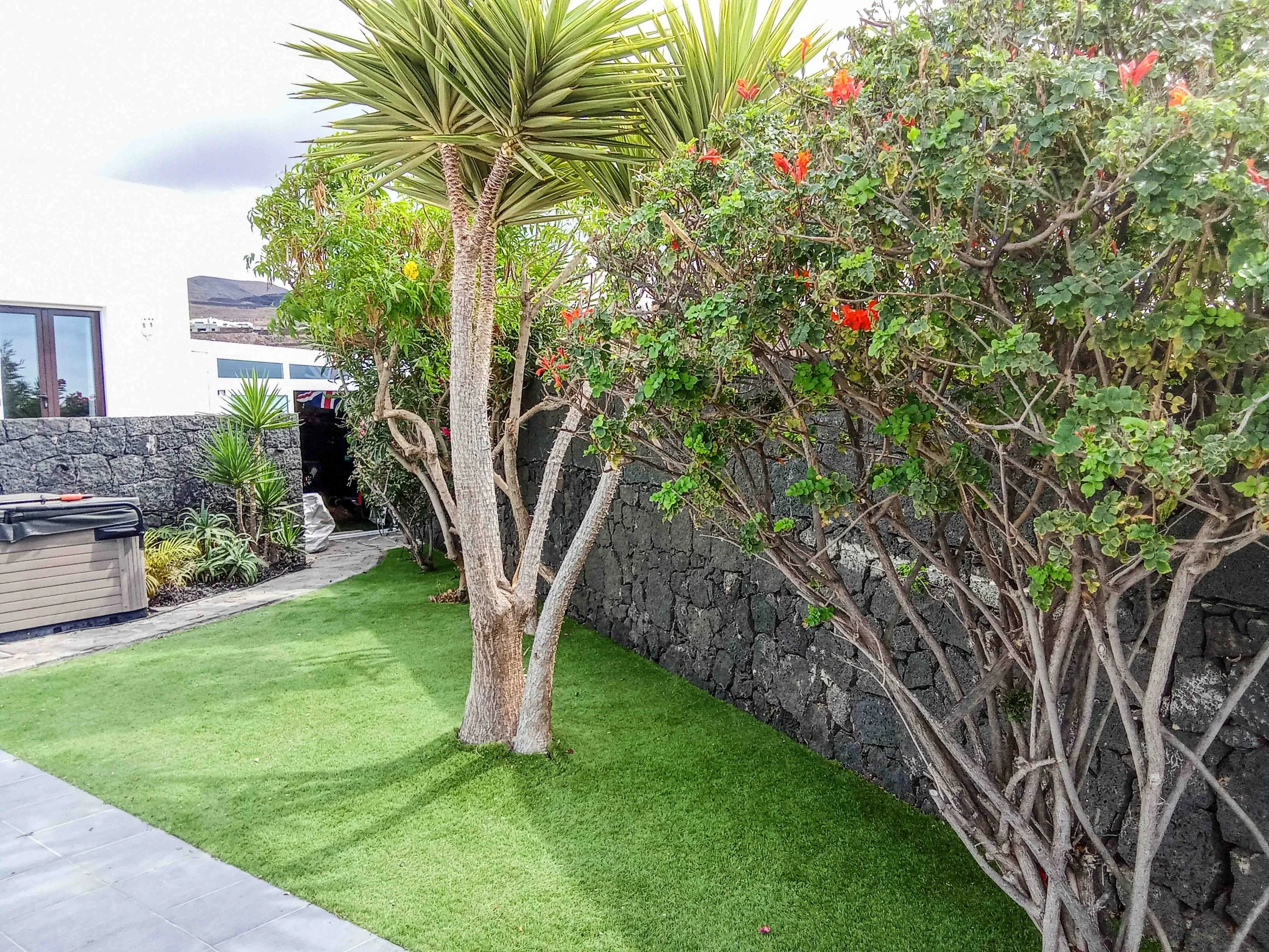 general garden tidy up-16.jpg