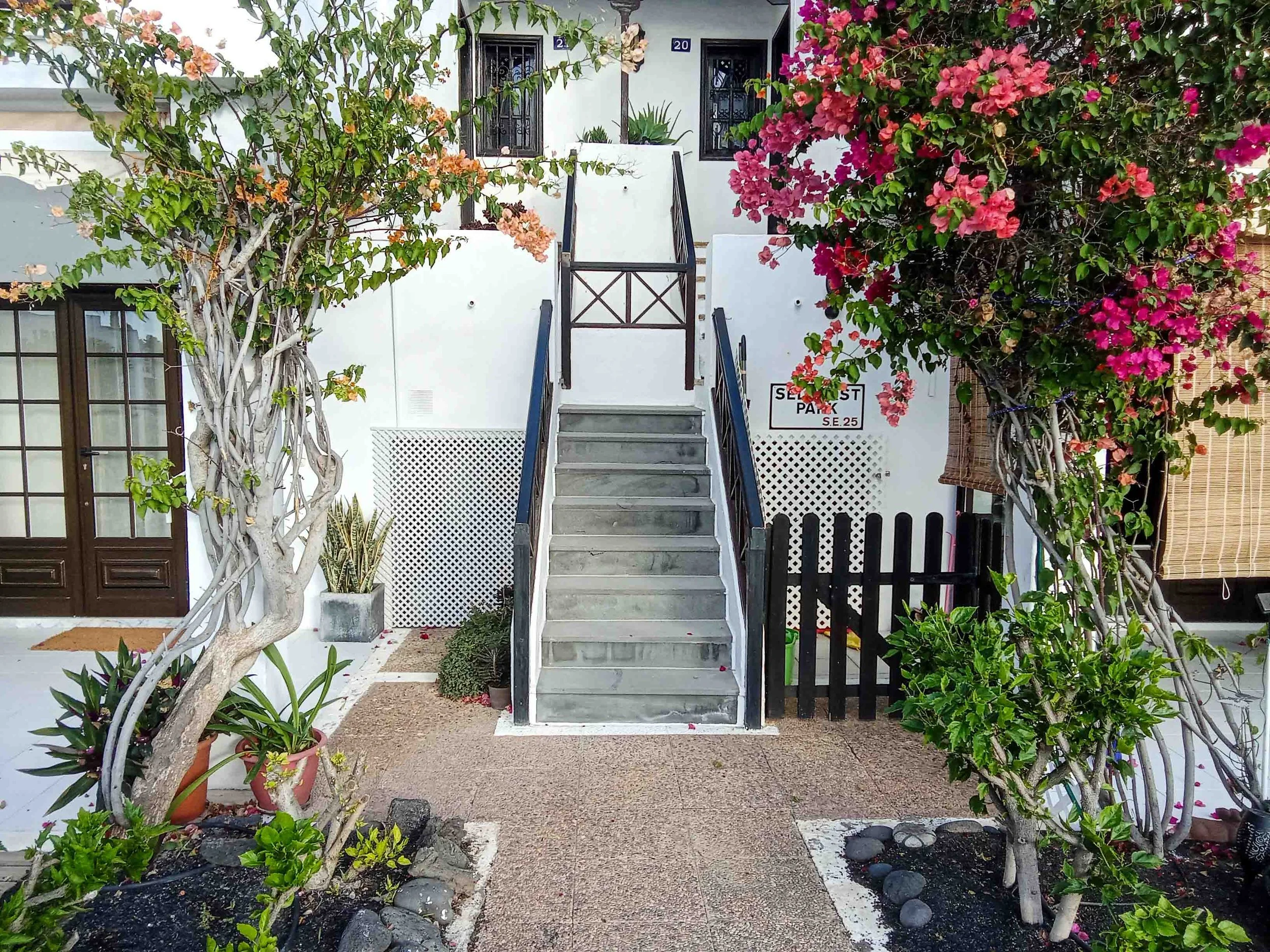 Front of a white building with two black door entrances, a staircase leading up to the doors, flanked by colorful flowering trees on both sides, and decorated with potted plants.