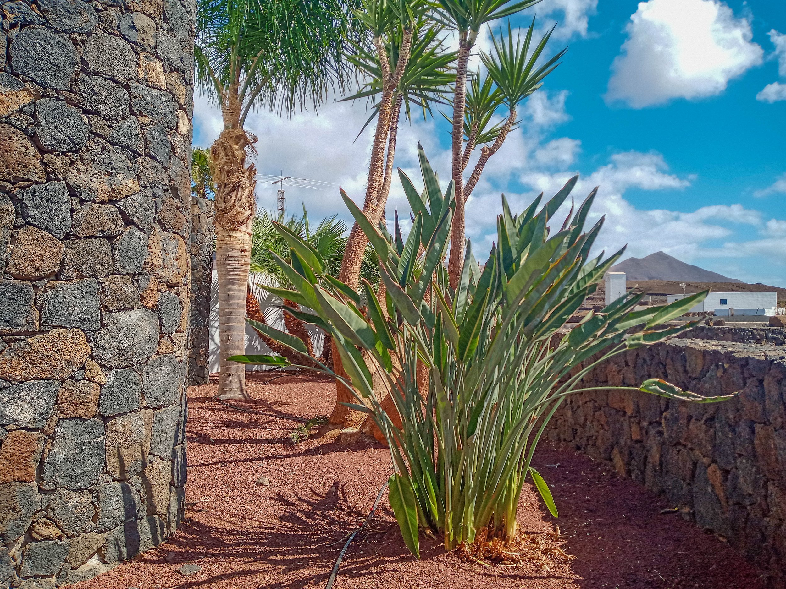 las Brenas - garden cleaning-4.jpg