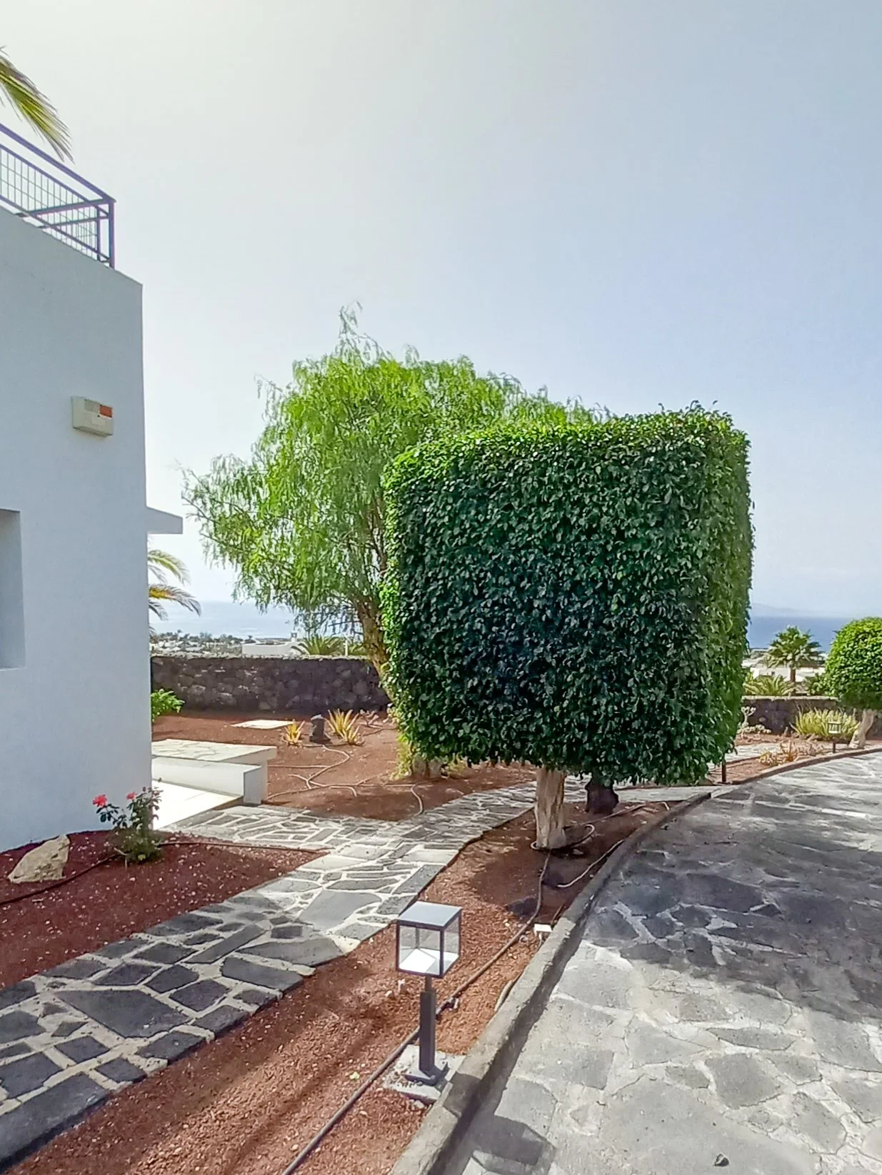 gardens - SeaHomes - BluMar - Playa Blanca-3.JPG