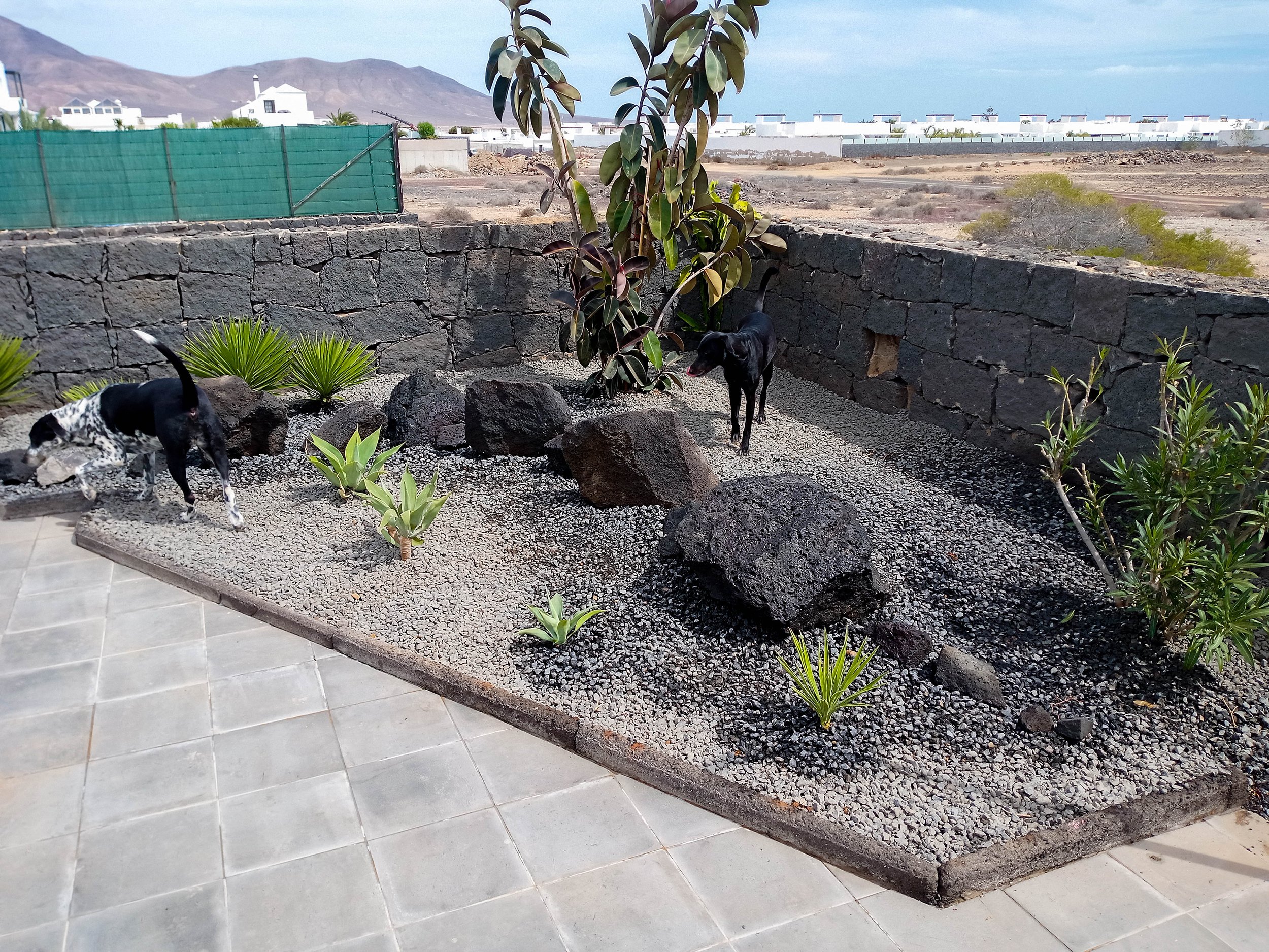 David - Playa Blanca-1.jpg