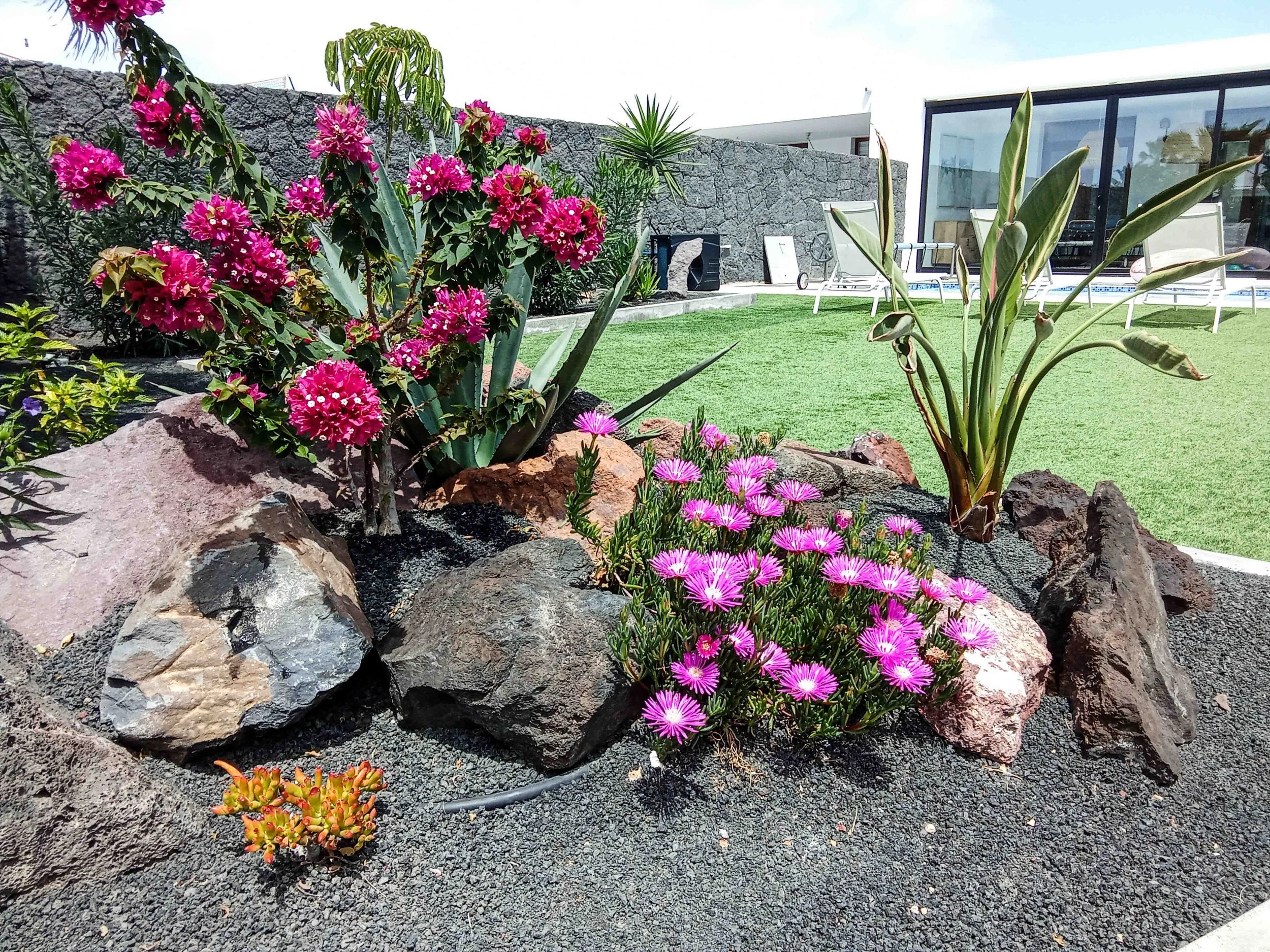 Colorful garden with pink and purple flowers, rocks, and a lush green lawn in the background, with patio furniture and a modern building.
