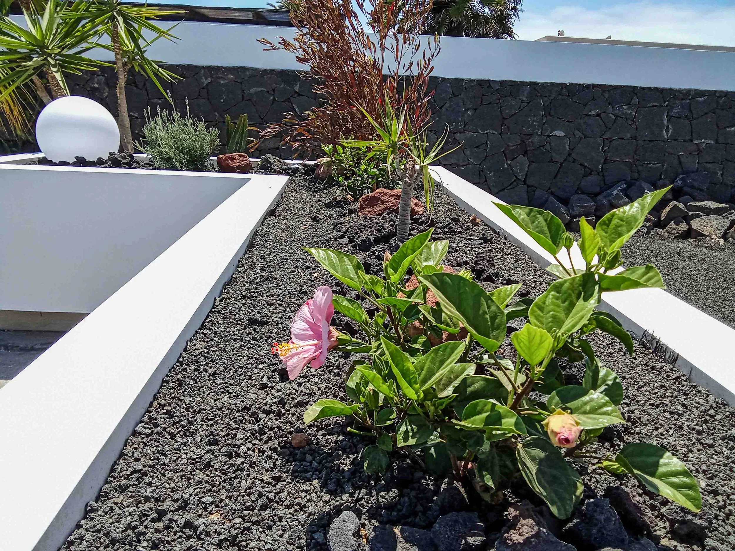 Calle Nepal, Playa Blanca-23.jpg