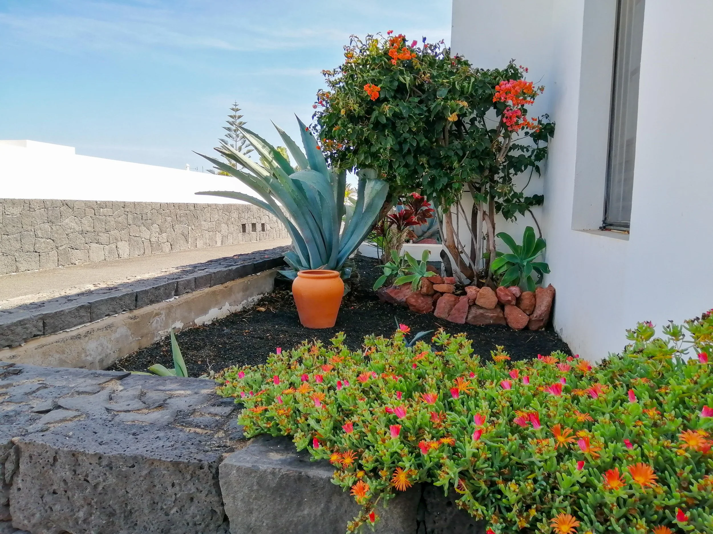 garden - la concha 44 - playa blanca-5.JPG