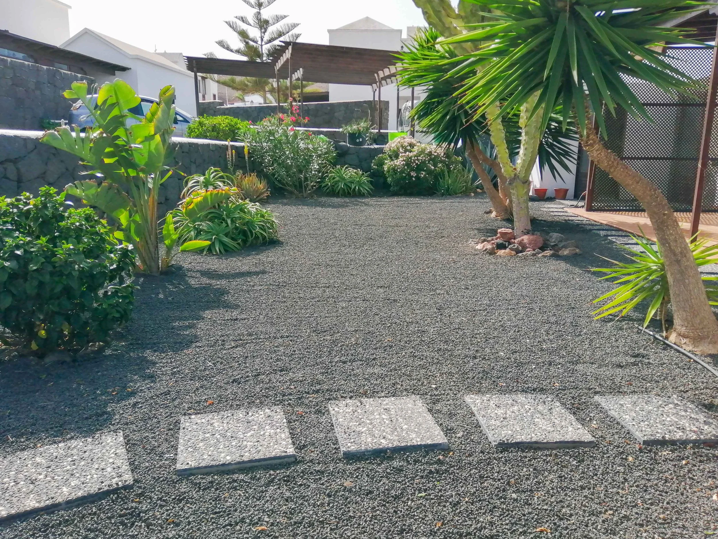 garden - alegranza - playa blanca-2.JPG