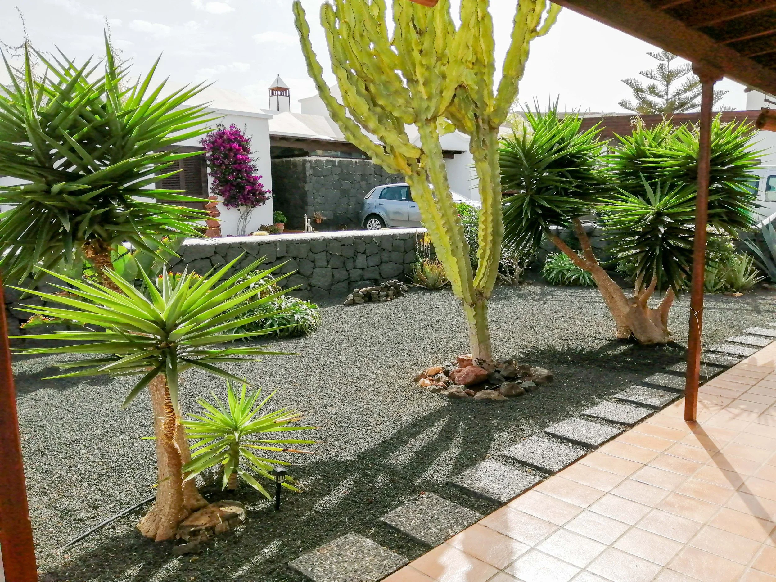 garden - alegranza - playa blanca-1.JPG