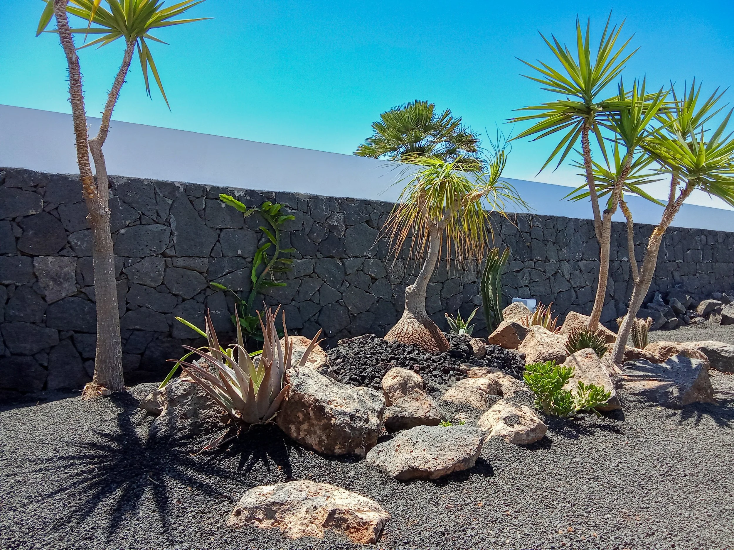 Calle Nepal 20 - SM - Final-24.JPG