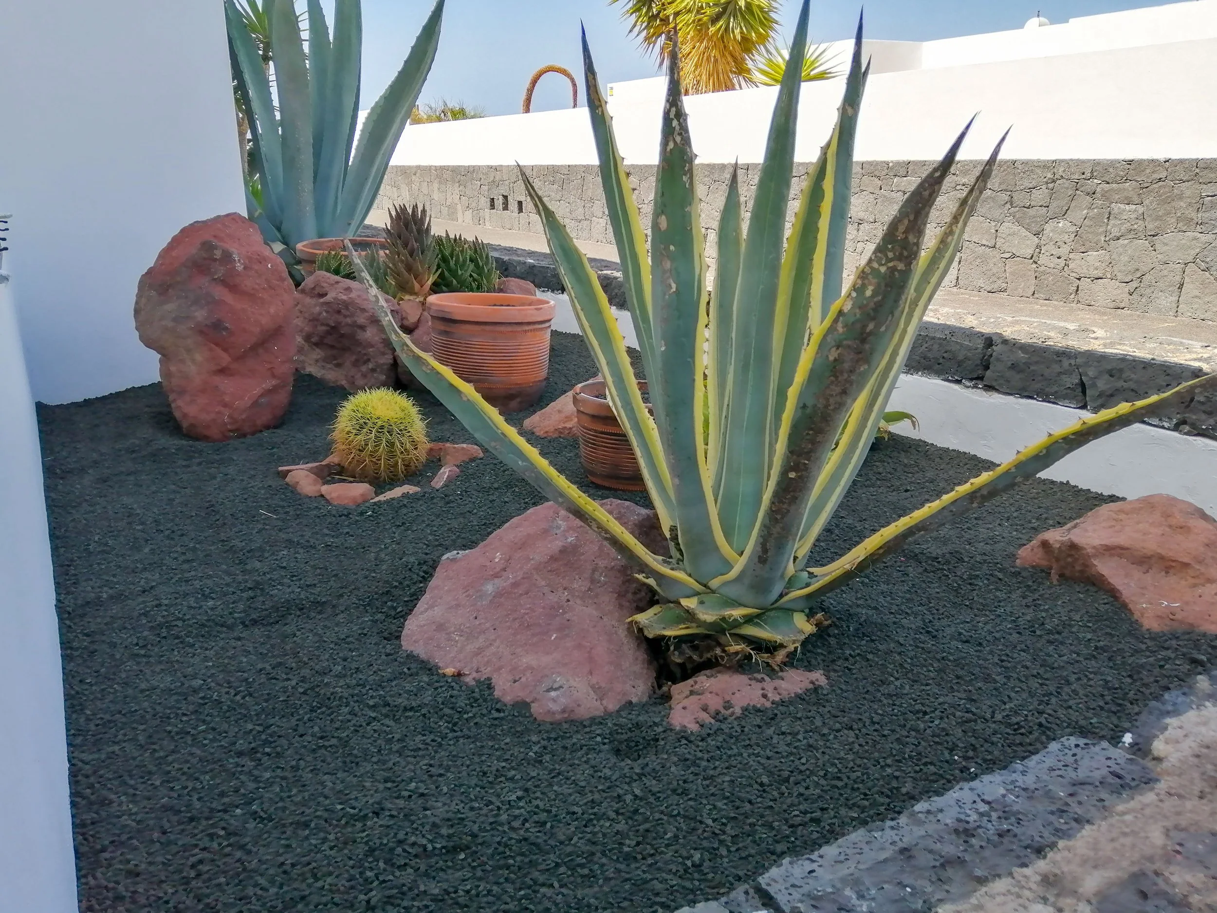 garden - la concha 46 - playa blanca-2.JPG