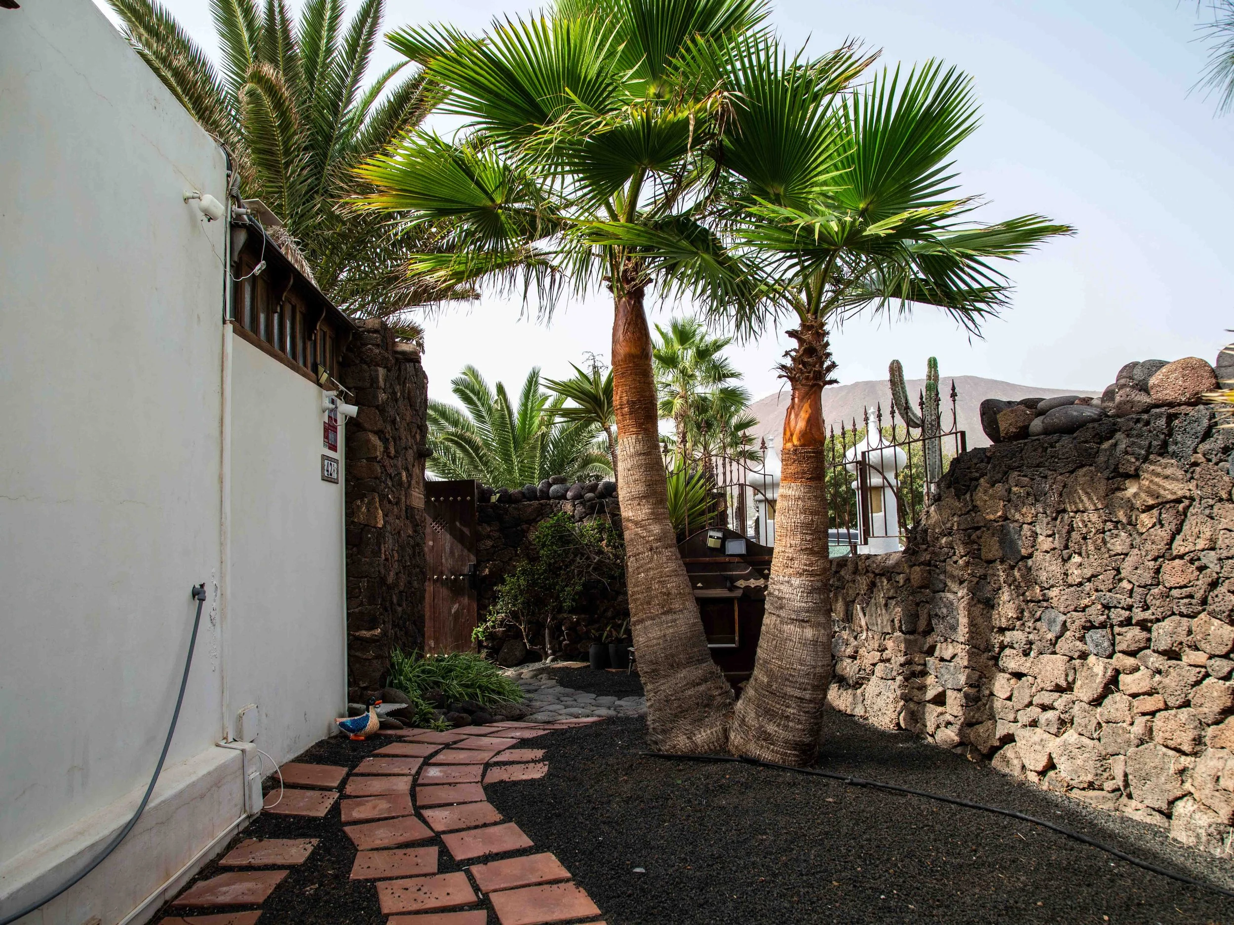 general garden tidy up-13.jpg