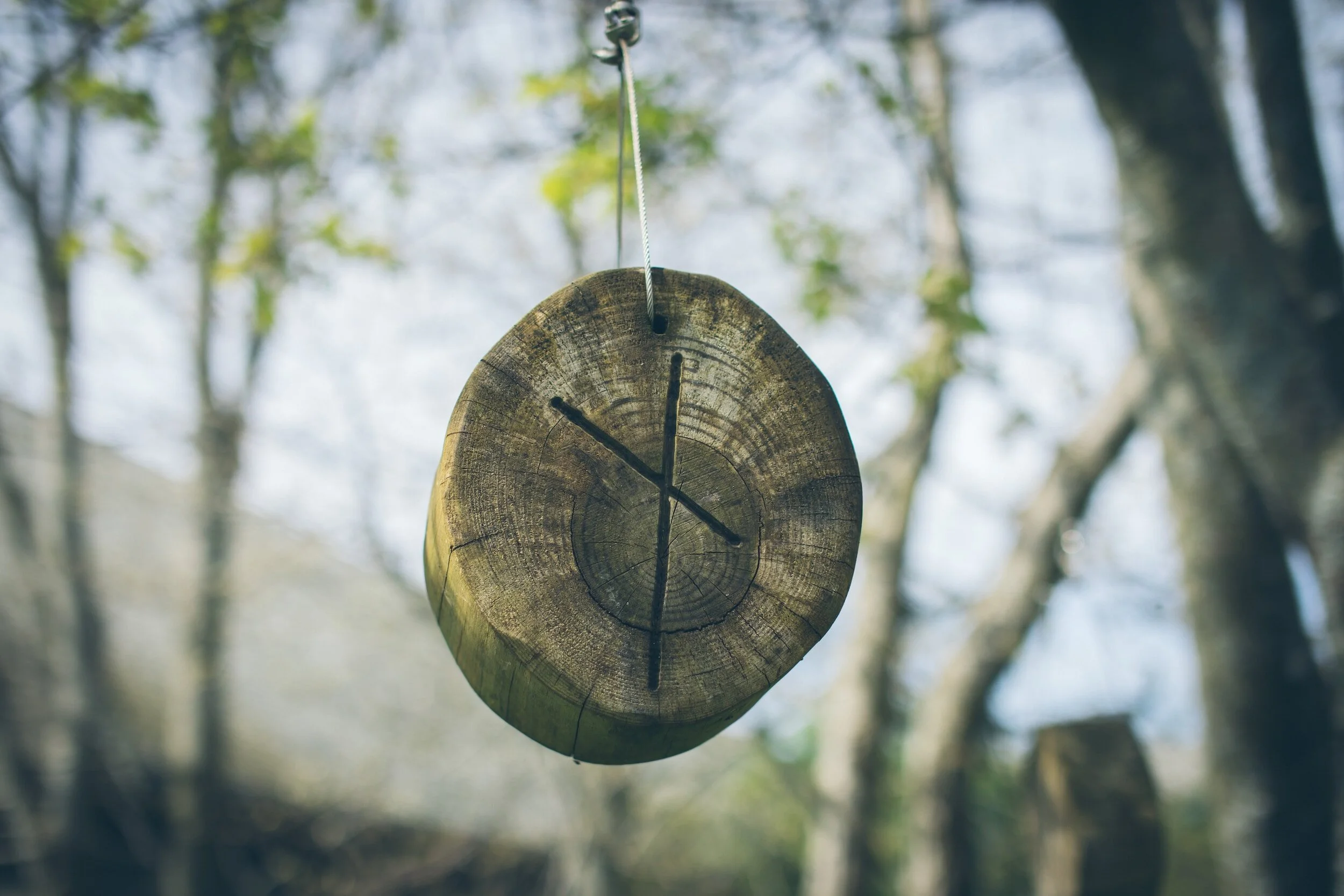 A photo of the Naughiz rune carved into a slice of wood hung from a tree