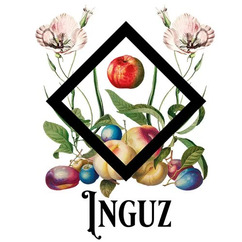 Illustrated Inguz rune