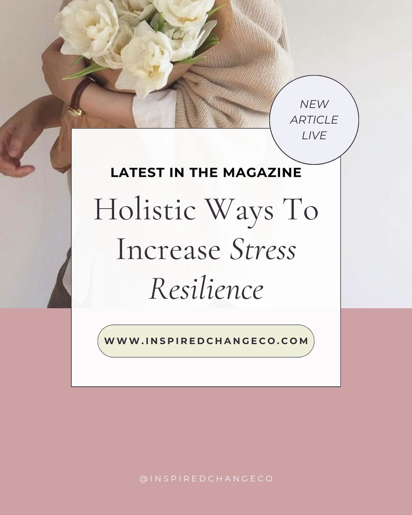 Stress is a natural bodily response that has been embedded in us as a protection mechanism from the early days of our evolution - simply in order to keep us safe and alive 🌱⁣
⁣
However, nowadays, the challenge that many of us experience, is the fact