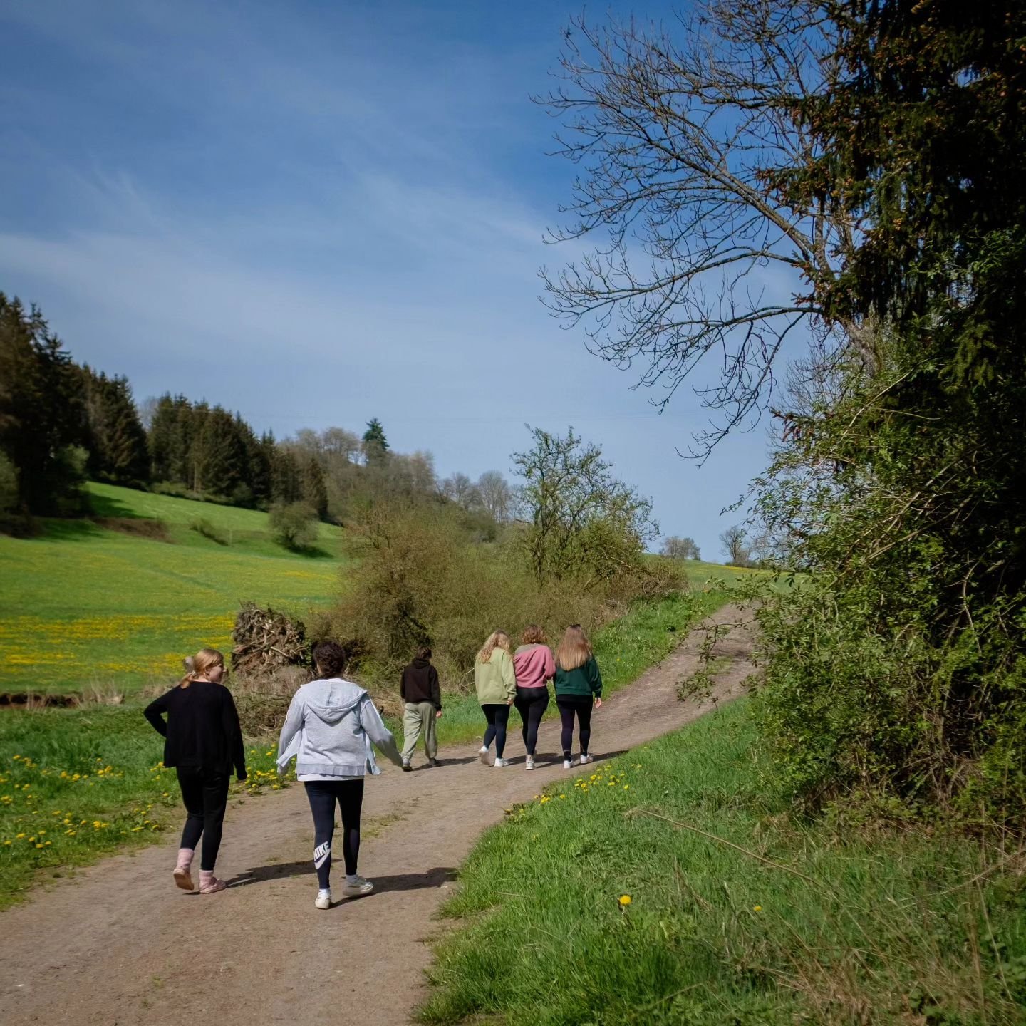 Letztes Wochenende haben wir uns mit den verschiedenen Planungsteams f&uuml;r ein Wochenende in Mauel getroffen. Die Vorbereitungen gehen in die hei&szlig;e Phase!

Bist Du im Sommer dabei? ☀️🌳