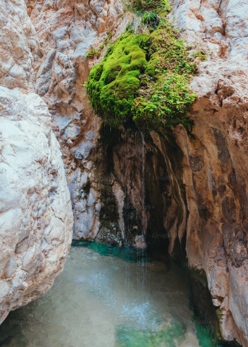 canyon stream.png
