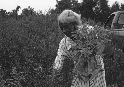 Negro gardener  3).jpg