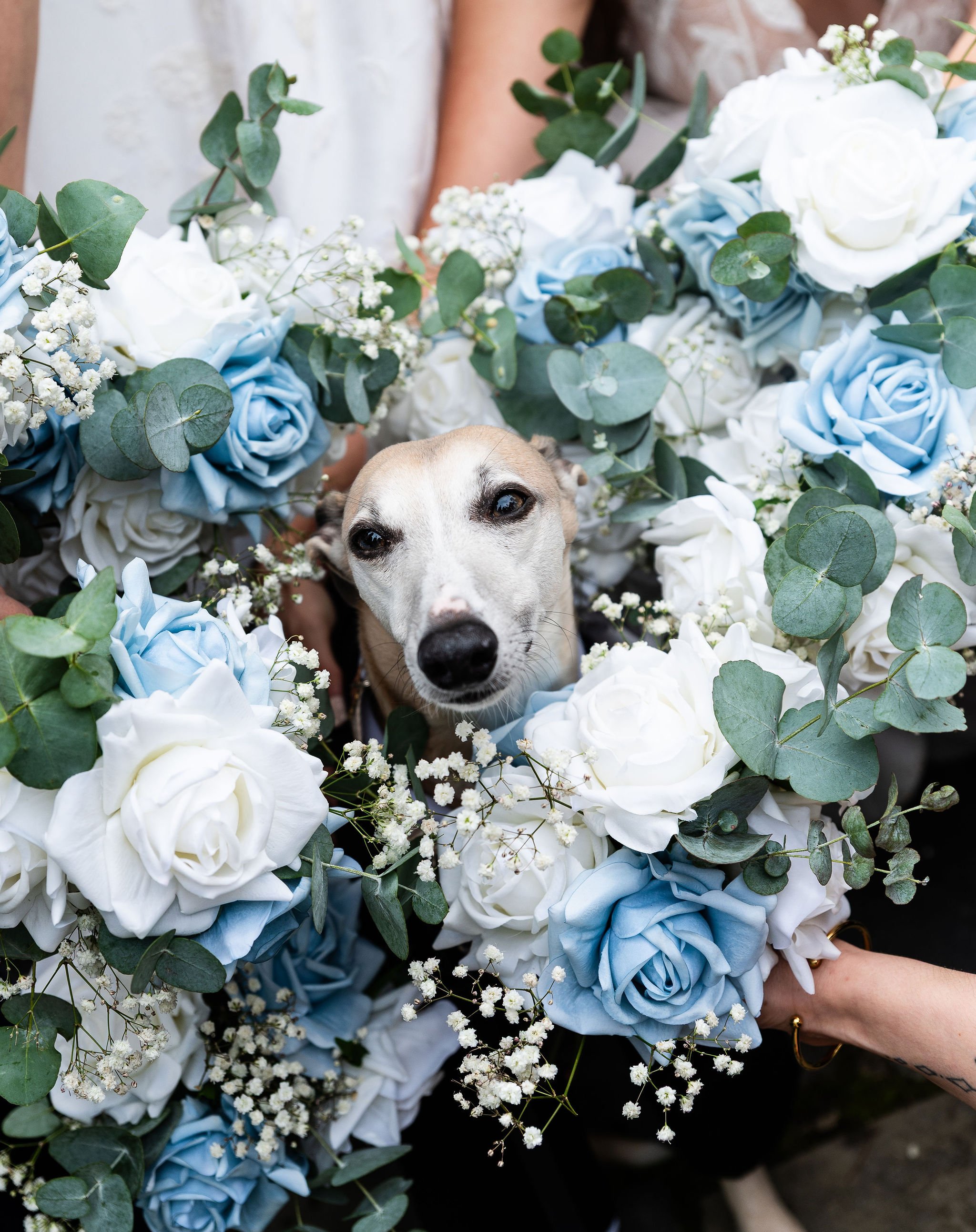 CarlaJessWedding_27June2026_Montsalvat-LeondaByTheYarra_NikkiRussianPhotography_SneakPeeks-64.jpg
