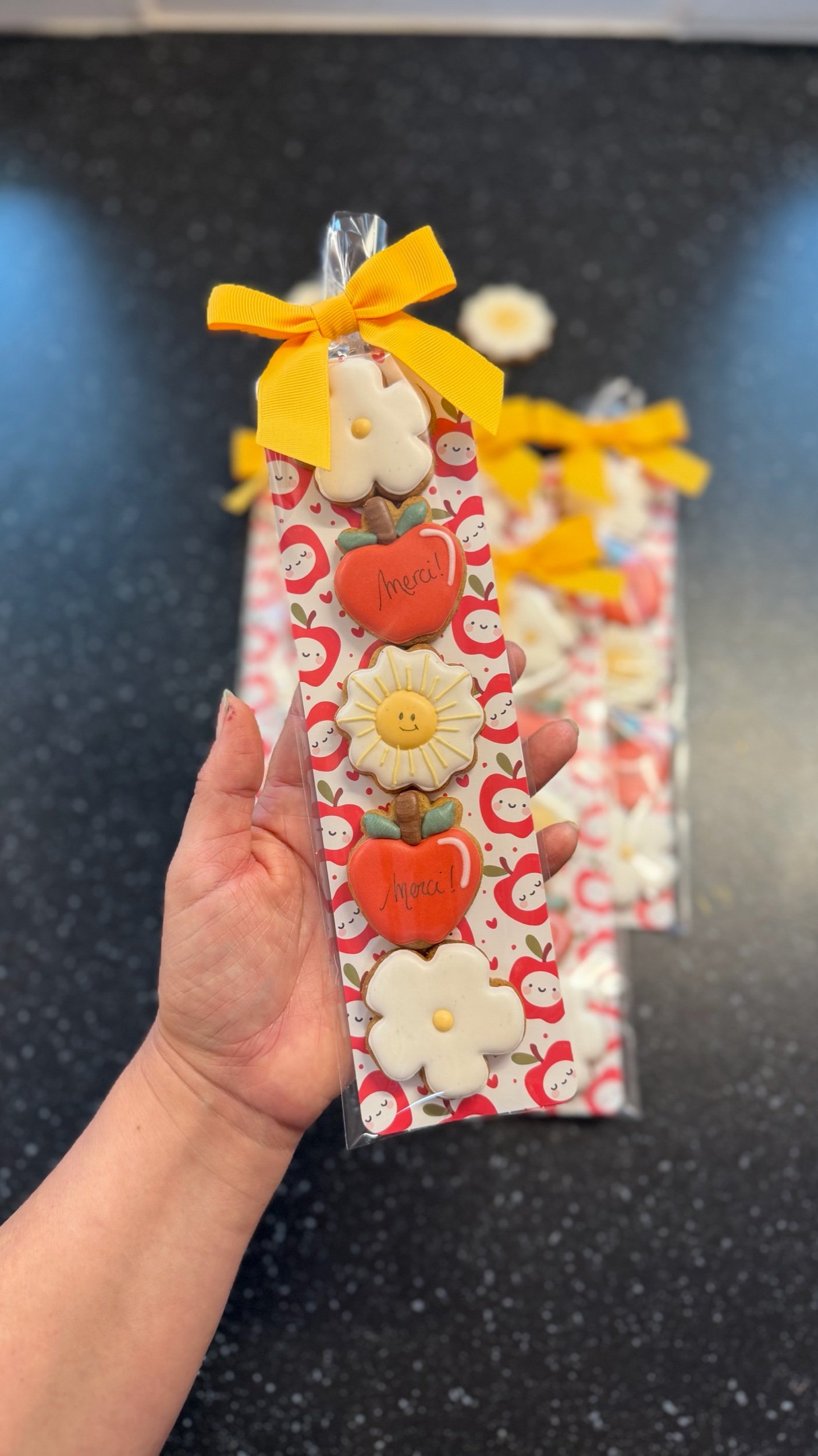 Barrettes 30 cm : fin d’année scolaire
