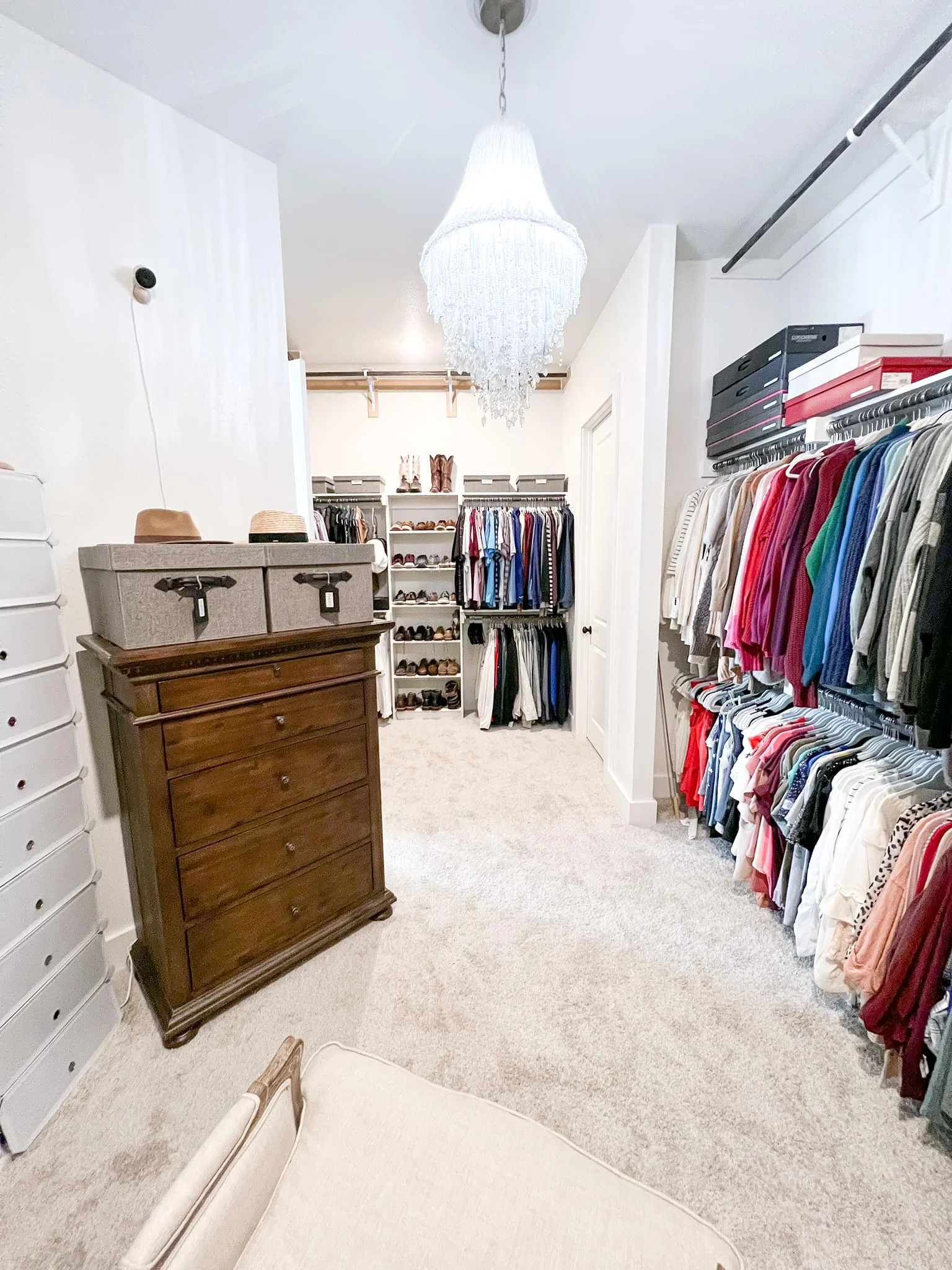 A walk-in closet with hanging clothes on both sides, a wooden dresser with hats on top, shoe shelves with boots and shoes, a white chandelier overhead, soft beige carpet on the floor, and boxes stored on a high shelf.