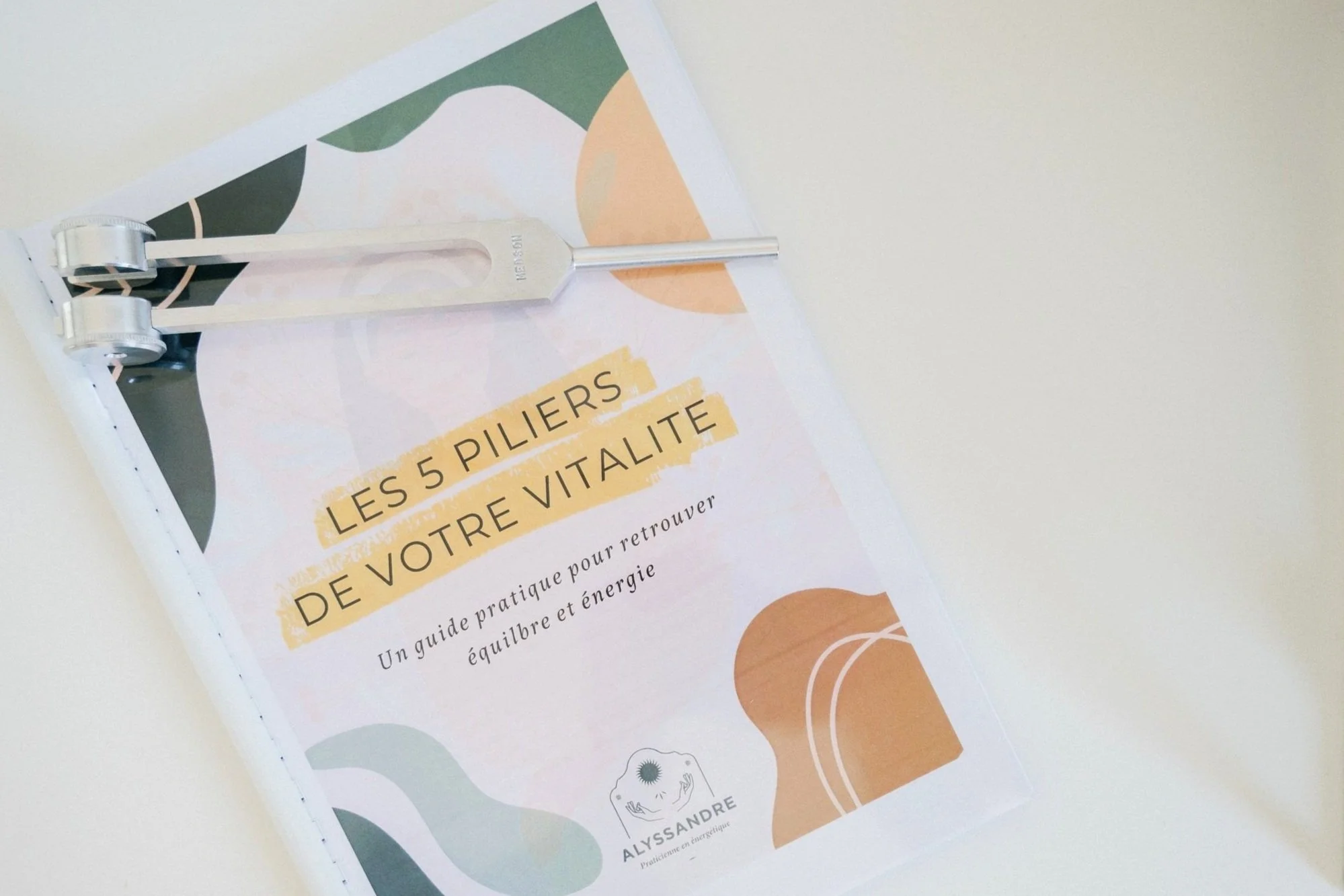 Les 5 piliers de votre vitalité, soins énergétiques proche de Lyon et de Tassin-la-Demi-Lune