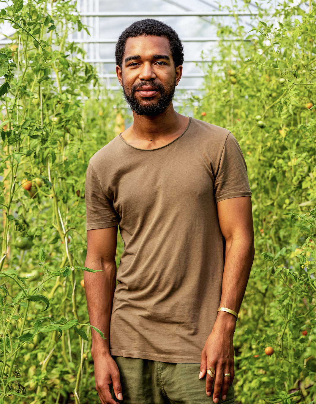 A man with a beard and short curly hair standing in a greenhouse surrounded by green tomato plants.