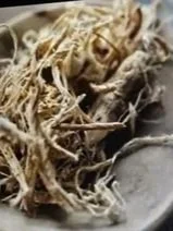 WINTER ROOTS: Going Deep When the Surface Is Frozen