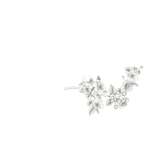 Summerlyn Powers