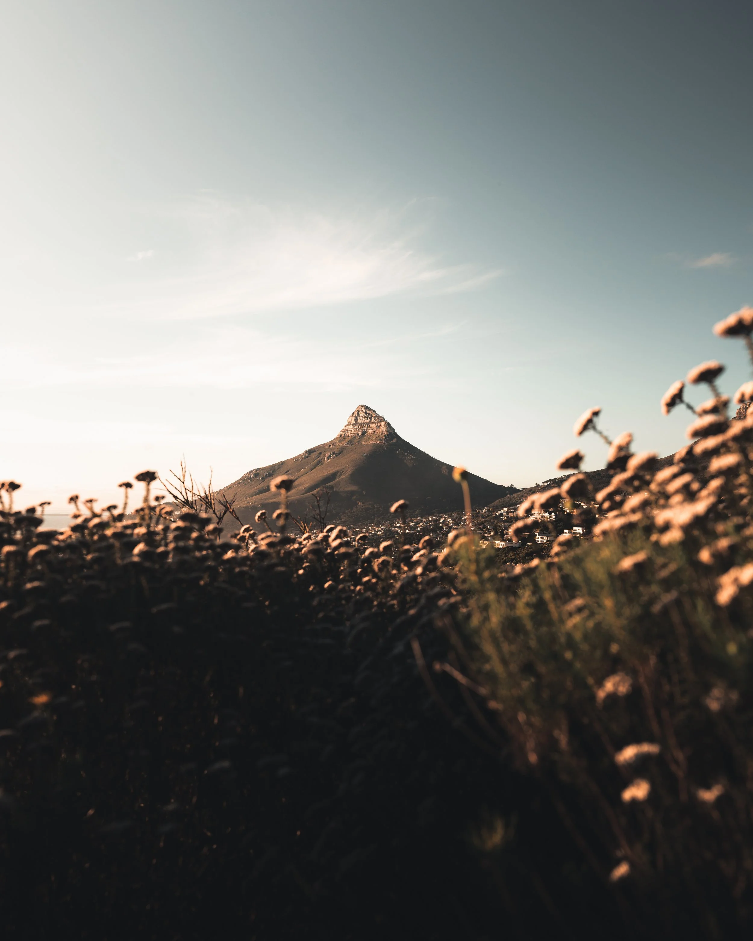 lions head tutorial-7.JPG