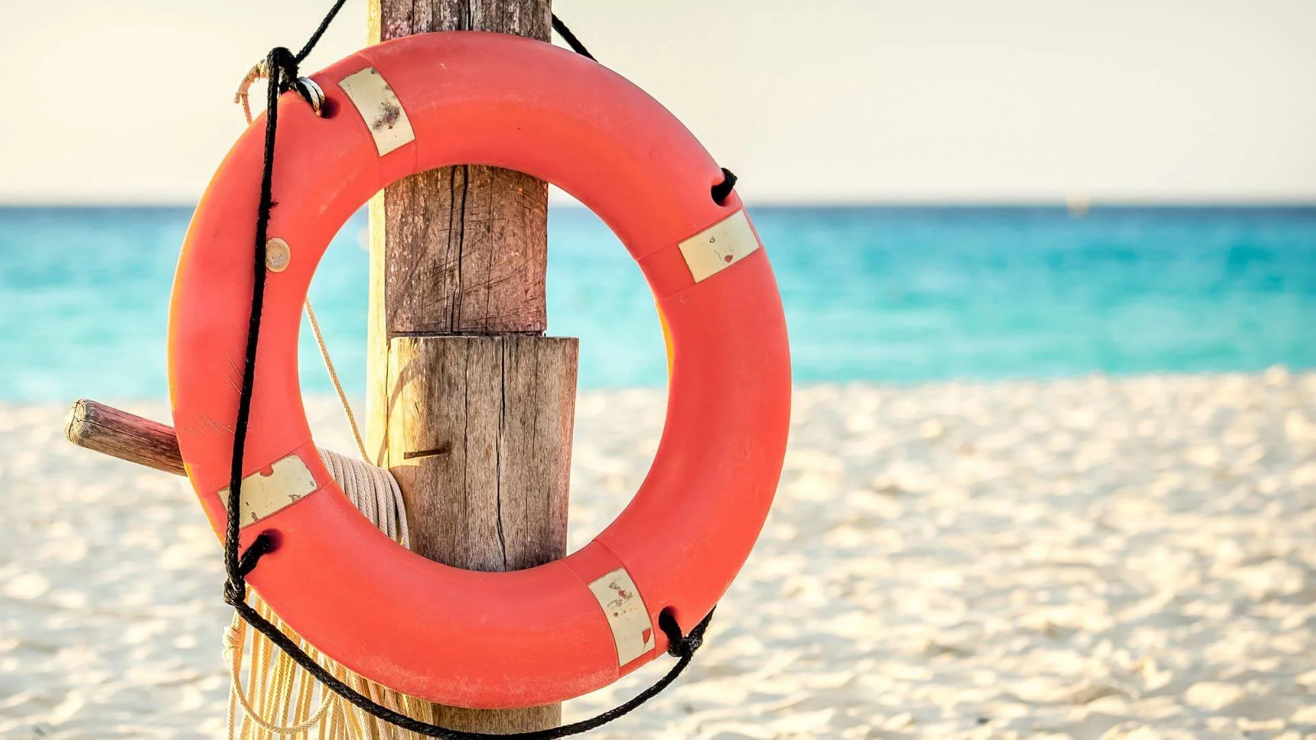 Daytona Beach Divorce Attorney Daytona Beach Divorce Lawyer Carol