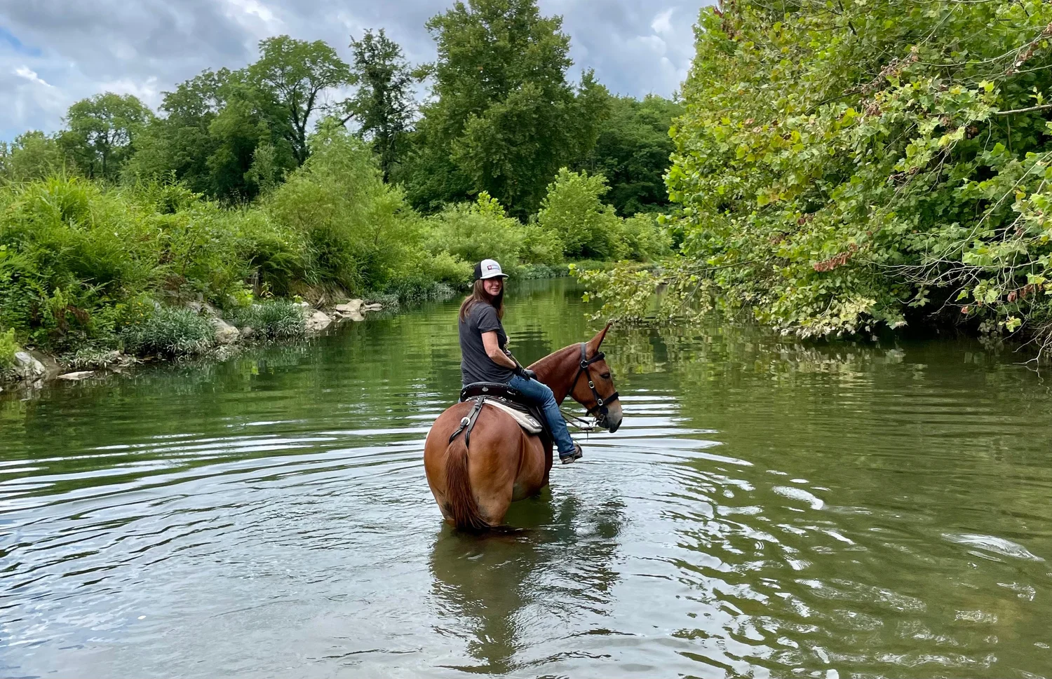 About Us — LLL Ranch Horse Boarding Near Franklin TN