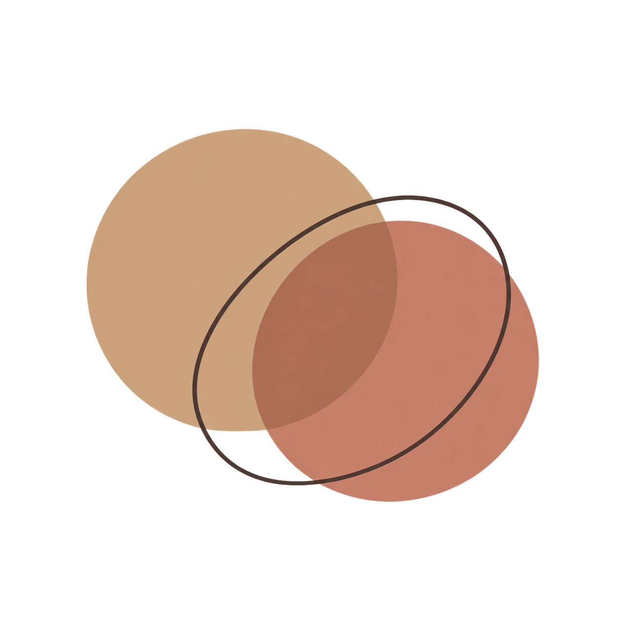 A digital illustration of three overlapping circles in various shades of beige and red, with two simple black outlines of circles overlapping each other.