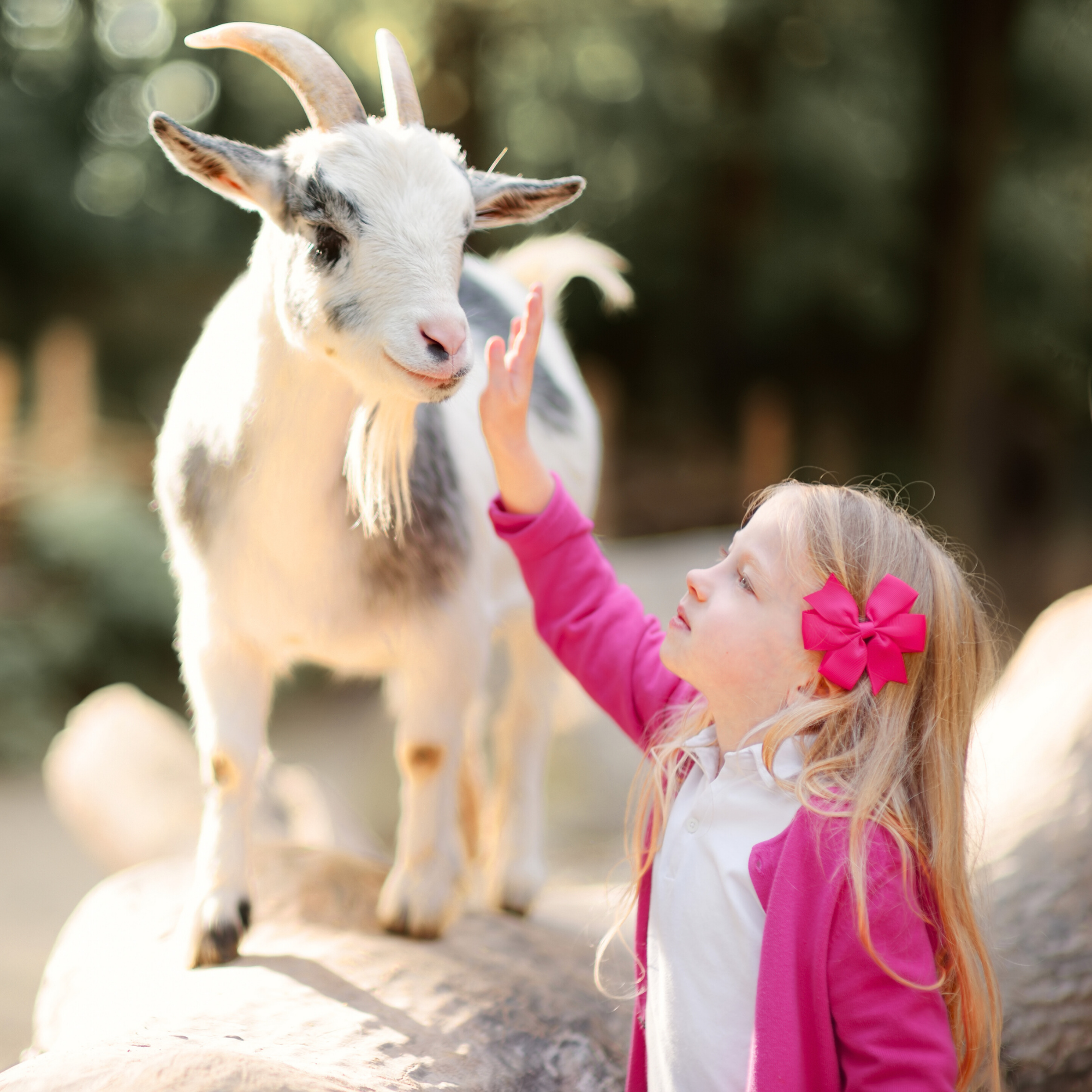 Easter Brunch Buffet: Egg Hunt &amp; Live Petting Zoo