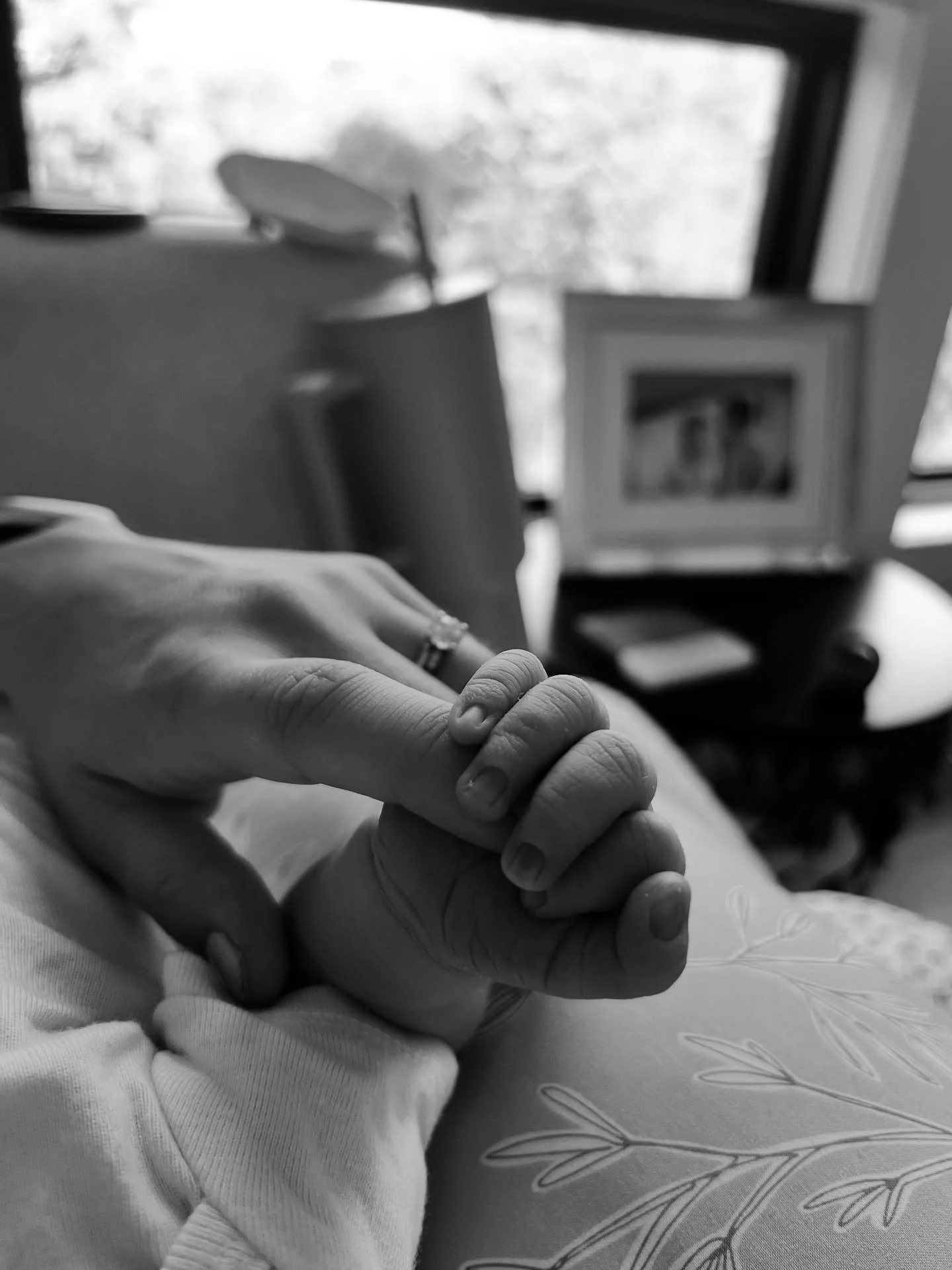 It&rsquo;s been a little quite over on my page because I&rsquo;ve been working on my biggest project yet! Milo Cooper Attruia made his entrance last week on September 4 and we are home soaking in all the precious moments. I have a few fall weddings s
