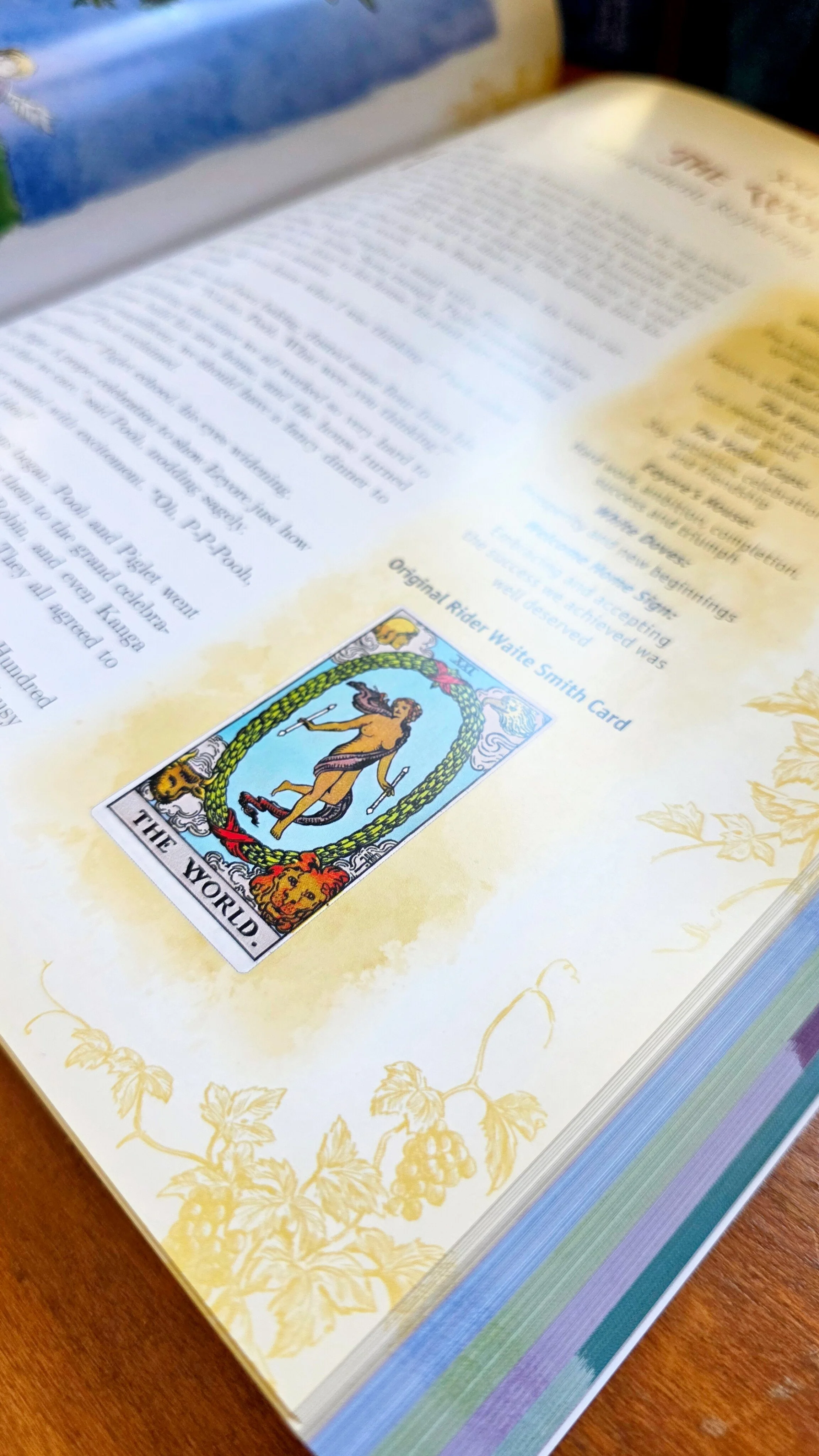 Book RWS Closeup.jpg