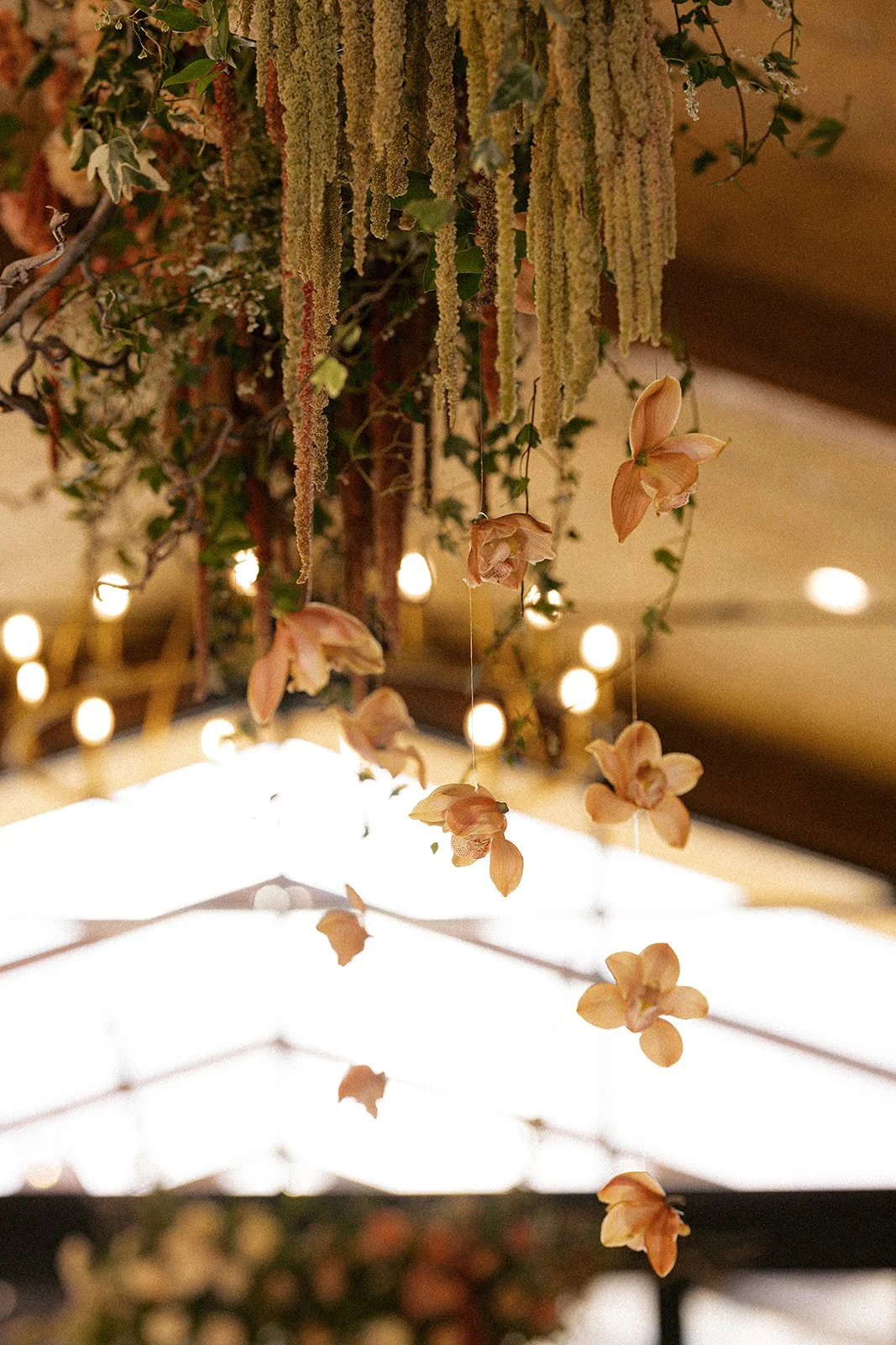 Jessielynphotography  2147.jpg