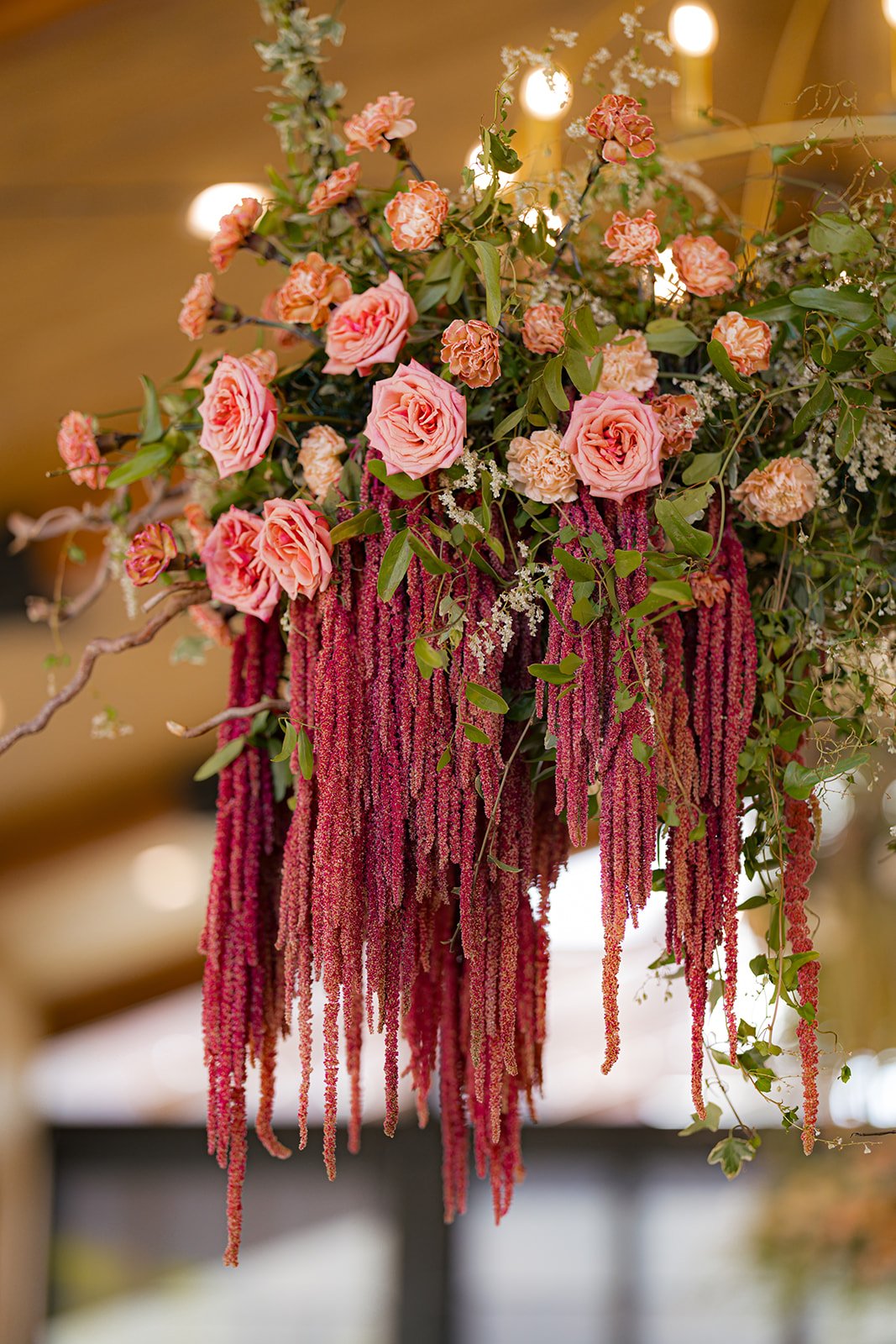 Jessielynphotography  1683 2.jpg