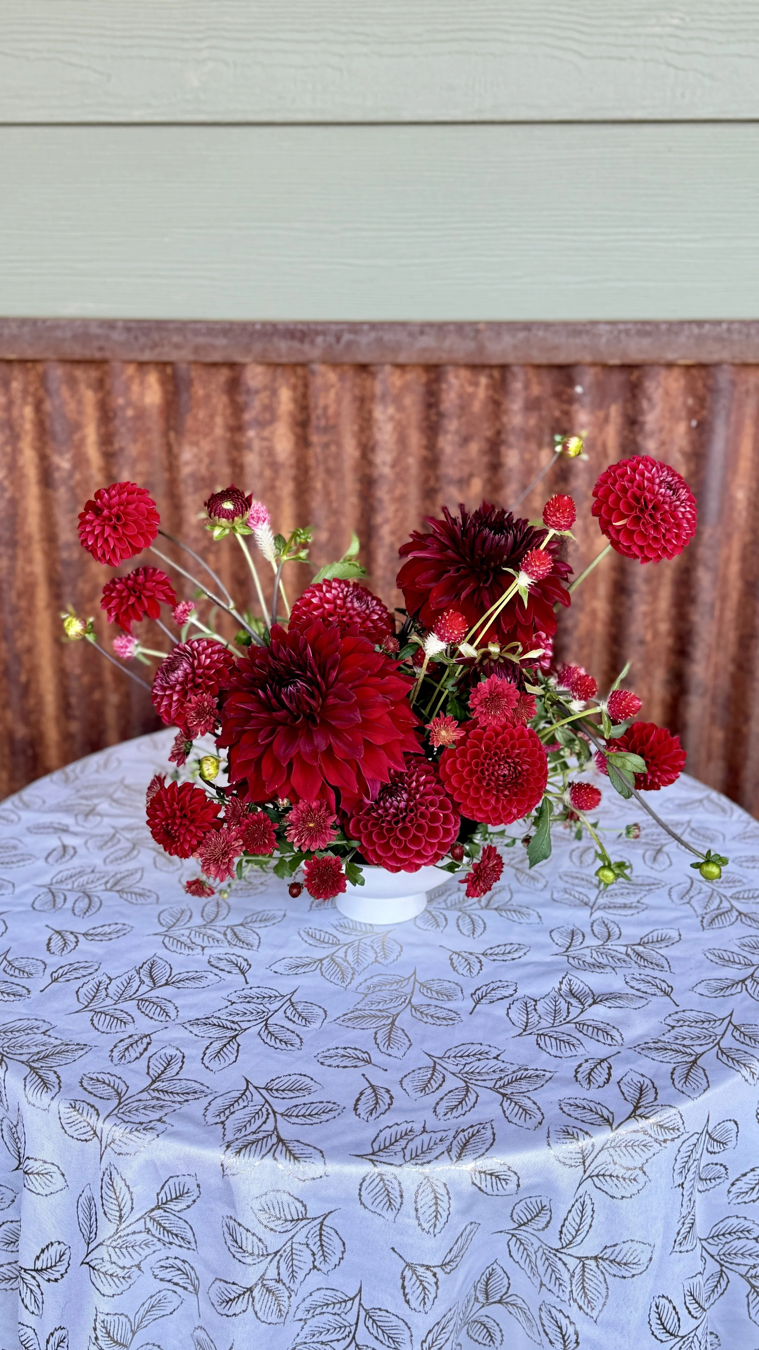 IMG_6107.jpg