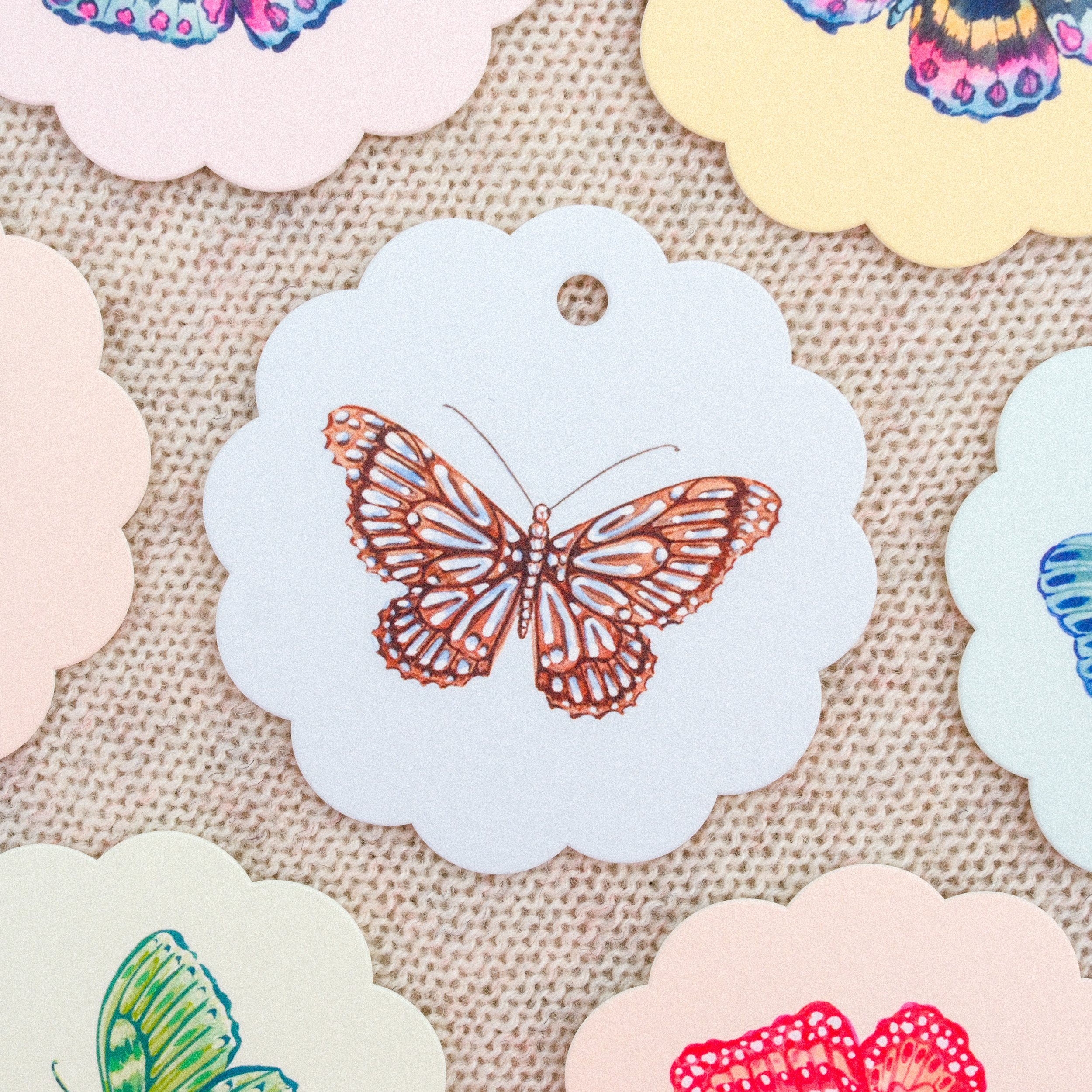 Brown & Blue Butterfly Scallop Gift Tags
