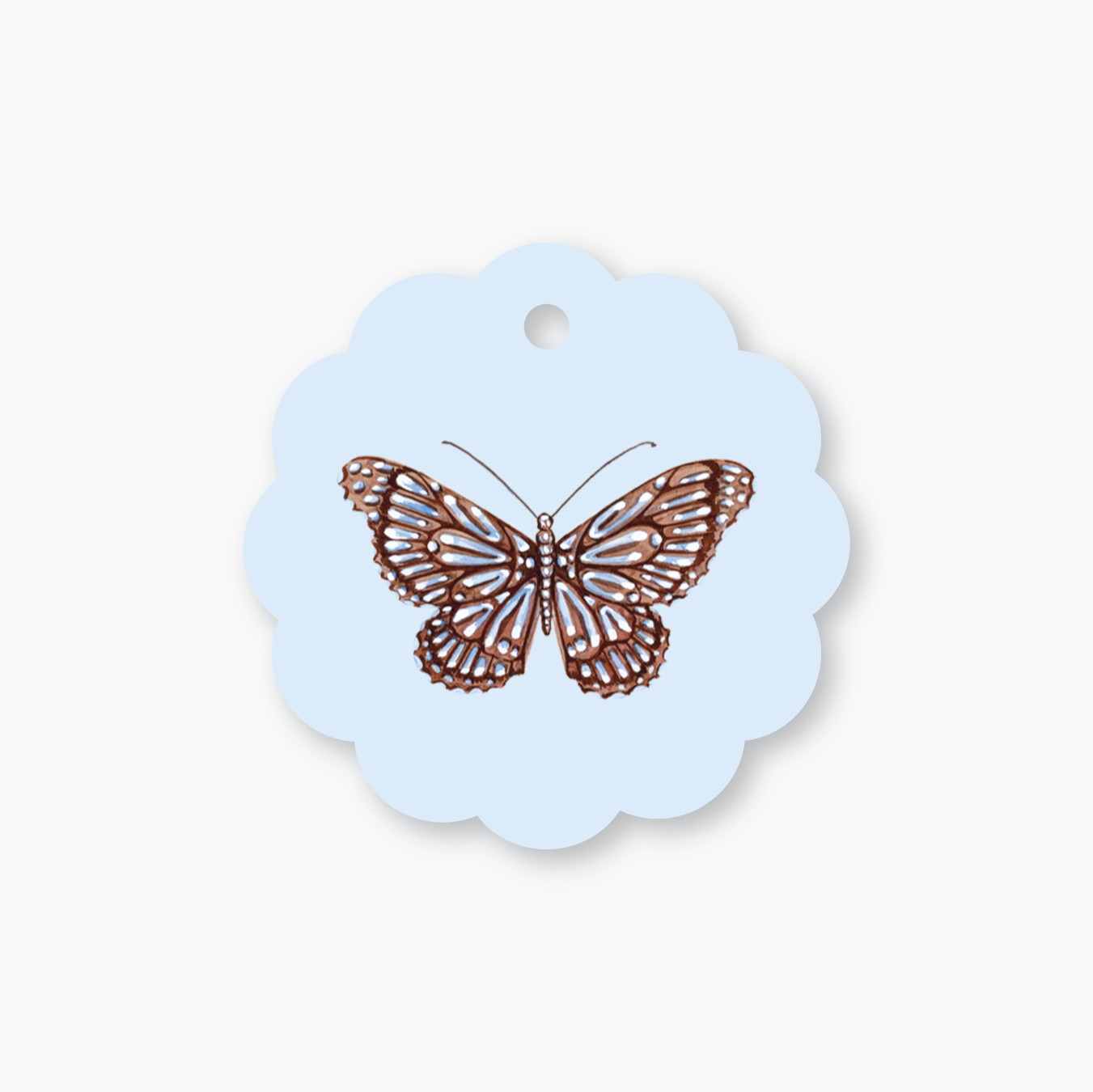 Brown & Blue GT Layout.png