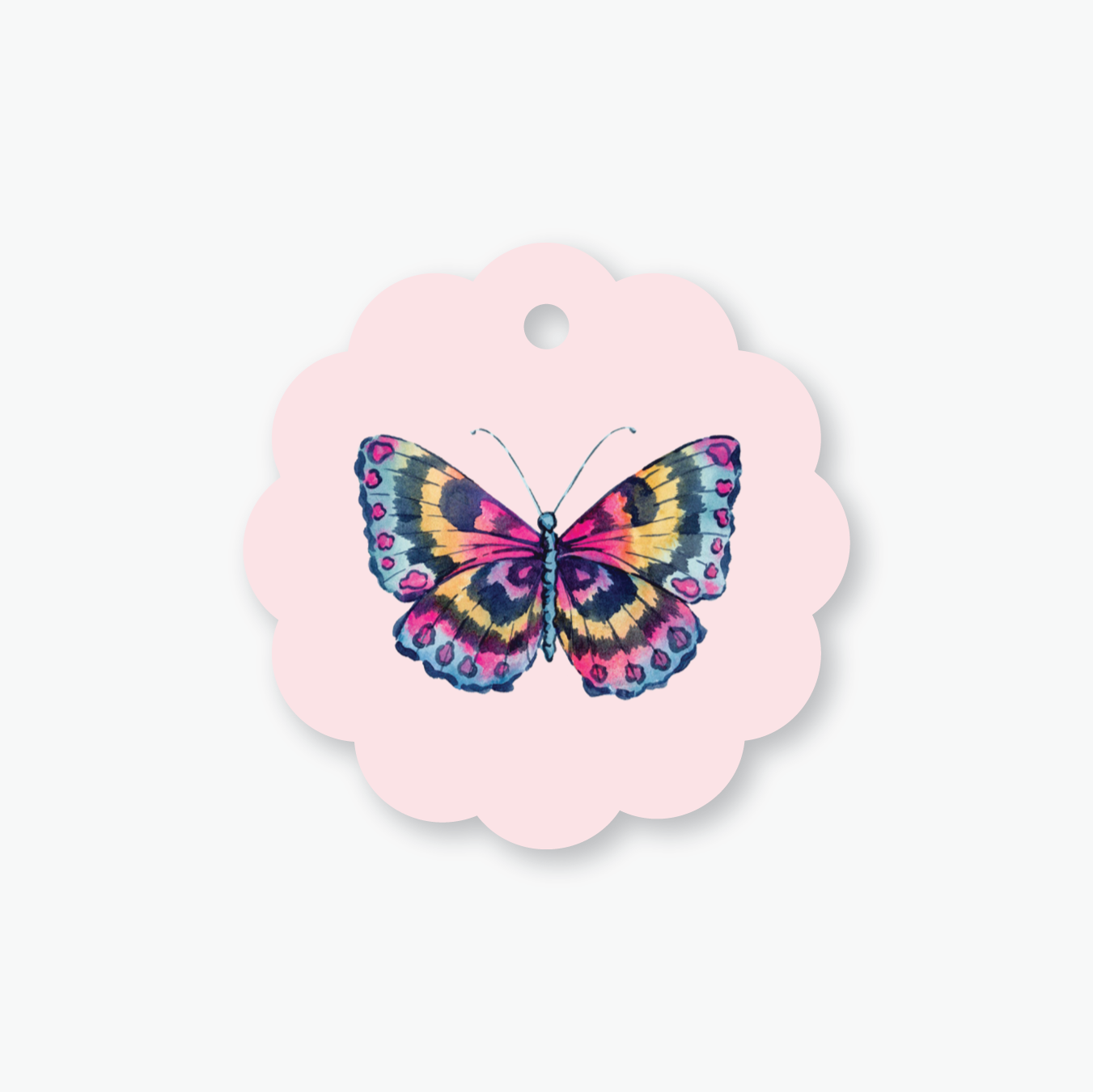 Rainbow GT Layout-02.png