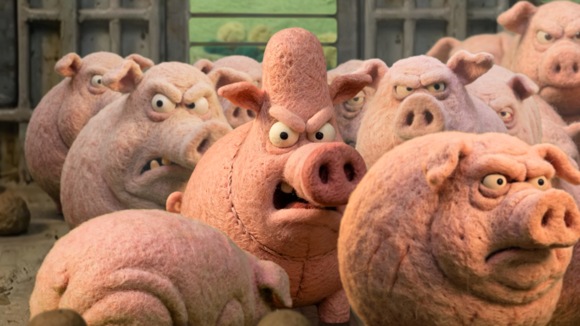 Pig Charter