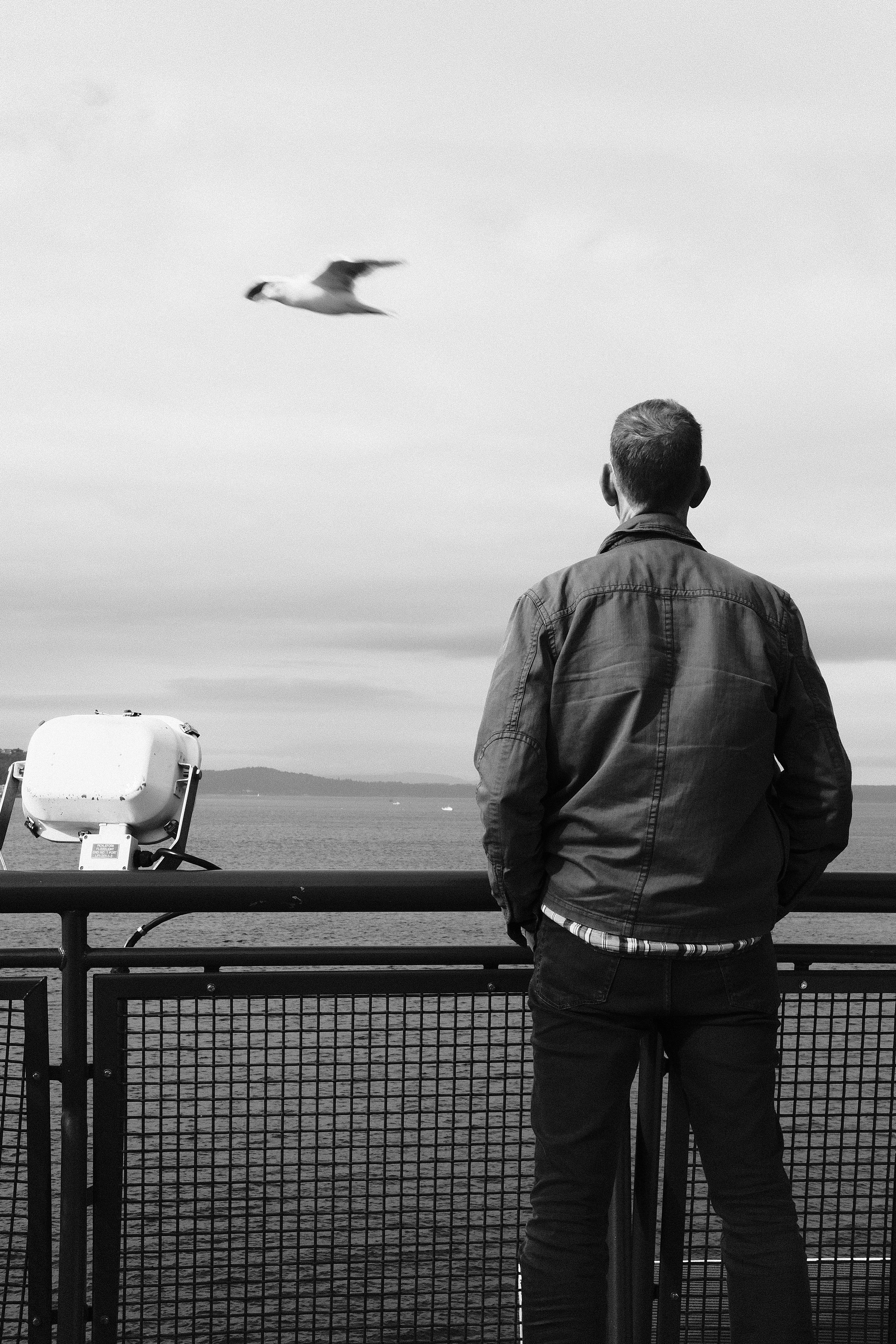 Man on ferry w:bird.jpeg