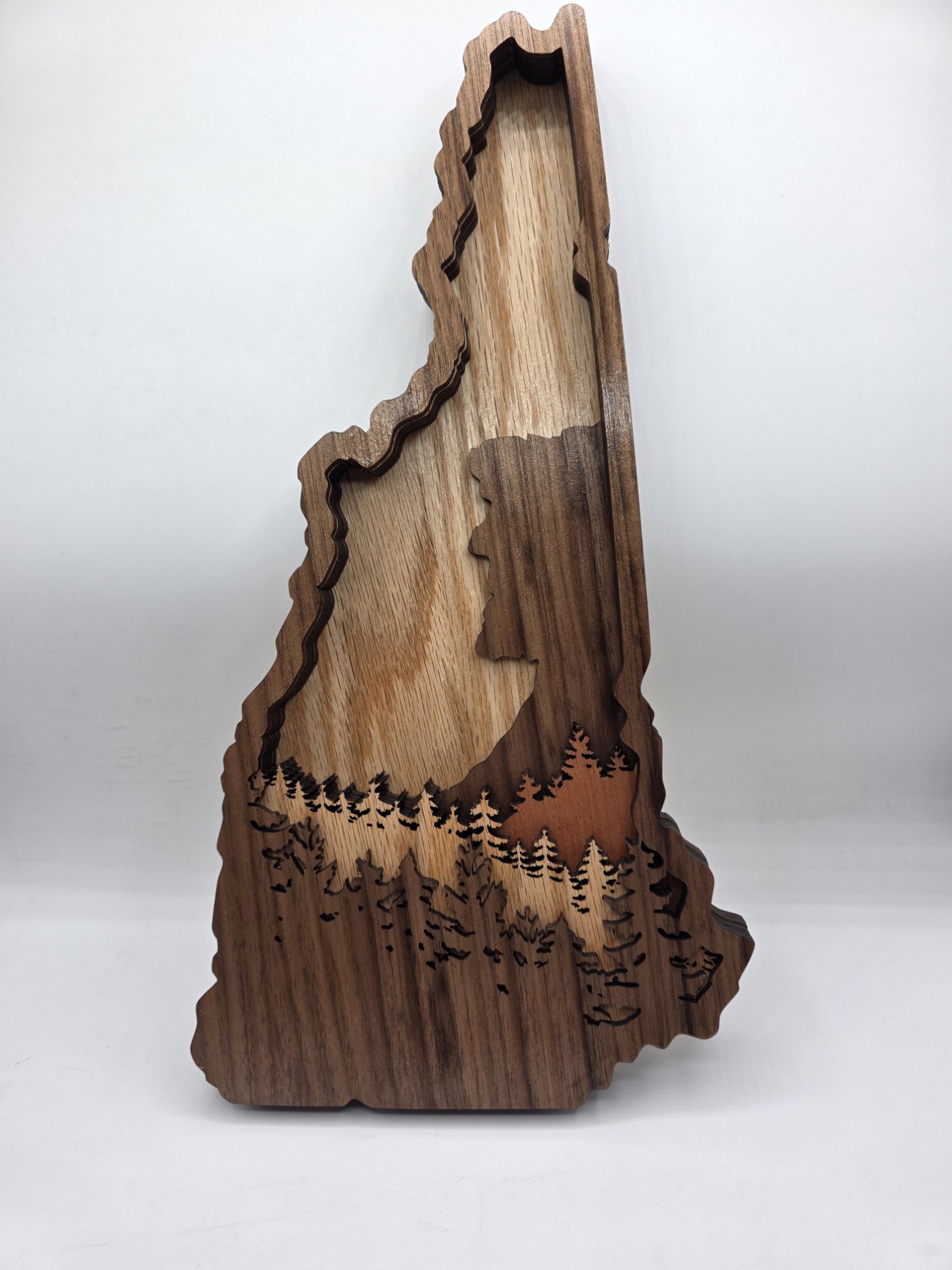 NH 3D Multi-Layerd Sign