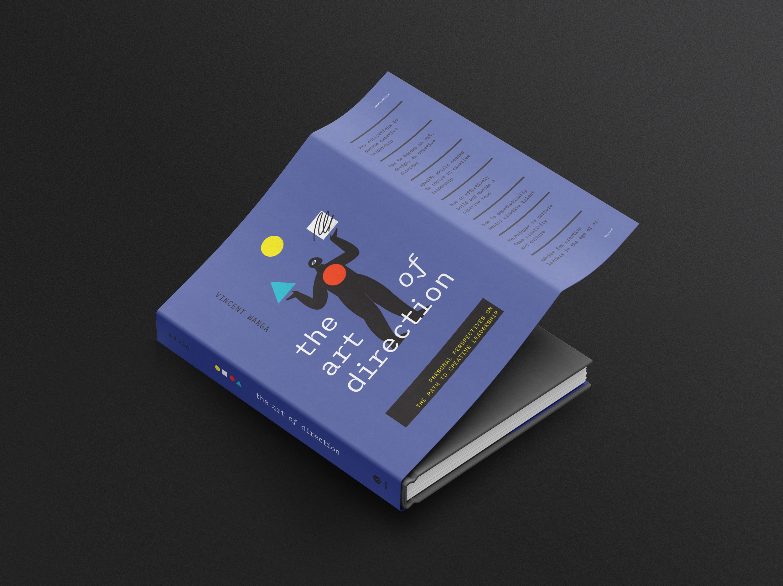 The Art of Direction: Personal Perspectives on the Path to