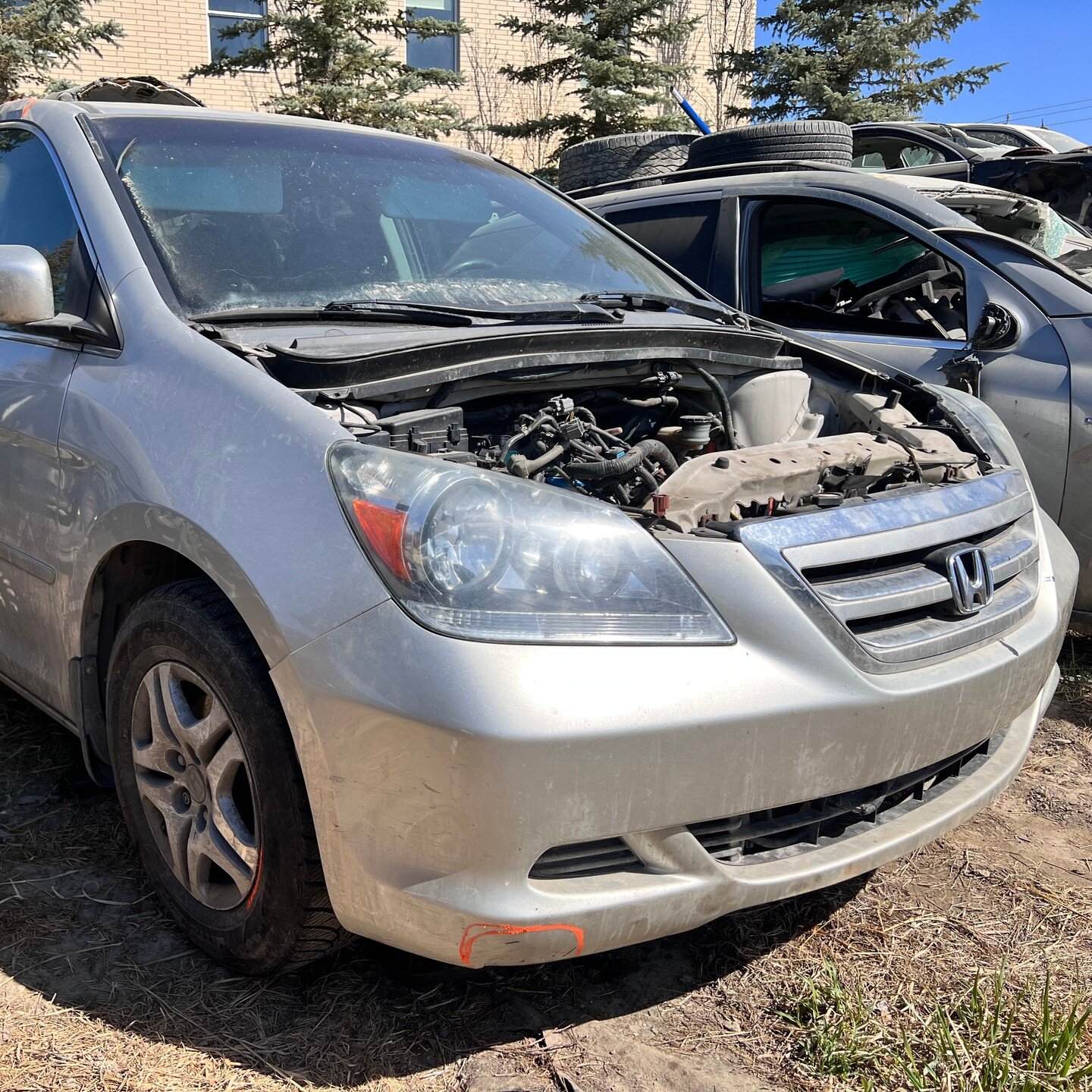 2005 HONDA ODYSSEY EX- L 3.5L *FOR PARTS* - FWD, 5 SPEED AUTOMATIC TRANSMISSION, 6 CYLINDER , GOLD(NH678M), KMS:280230, VIN:5FNRL38675B509178

We offer contactless delivery and are more than willing to accommodate your needs.
Why pick your part when 