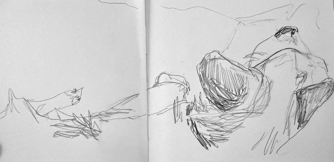 A sketch of a dog asleep on a blanket in a lap.