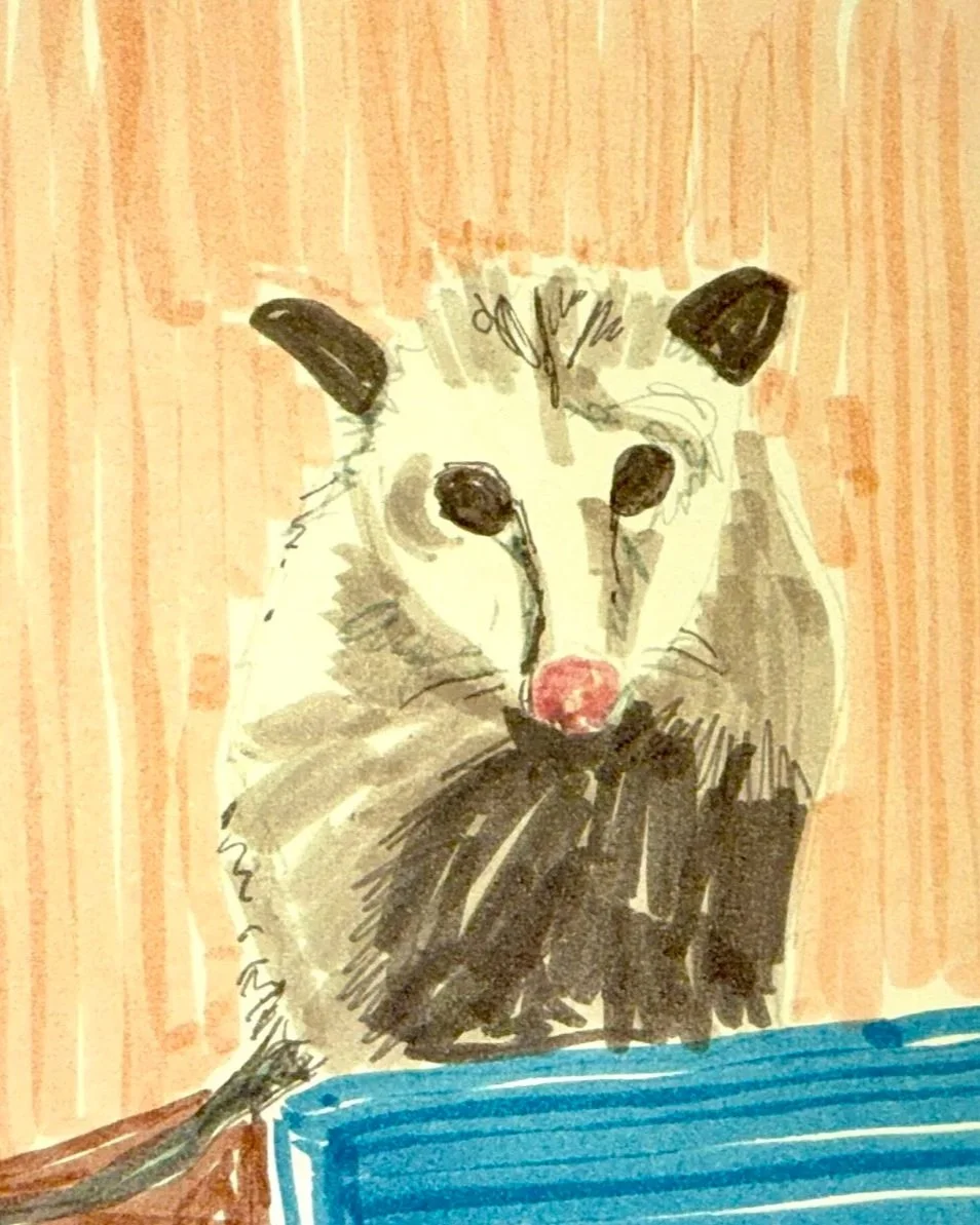 the small sketchbook