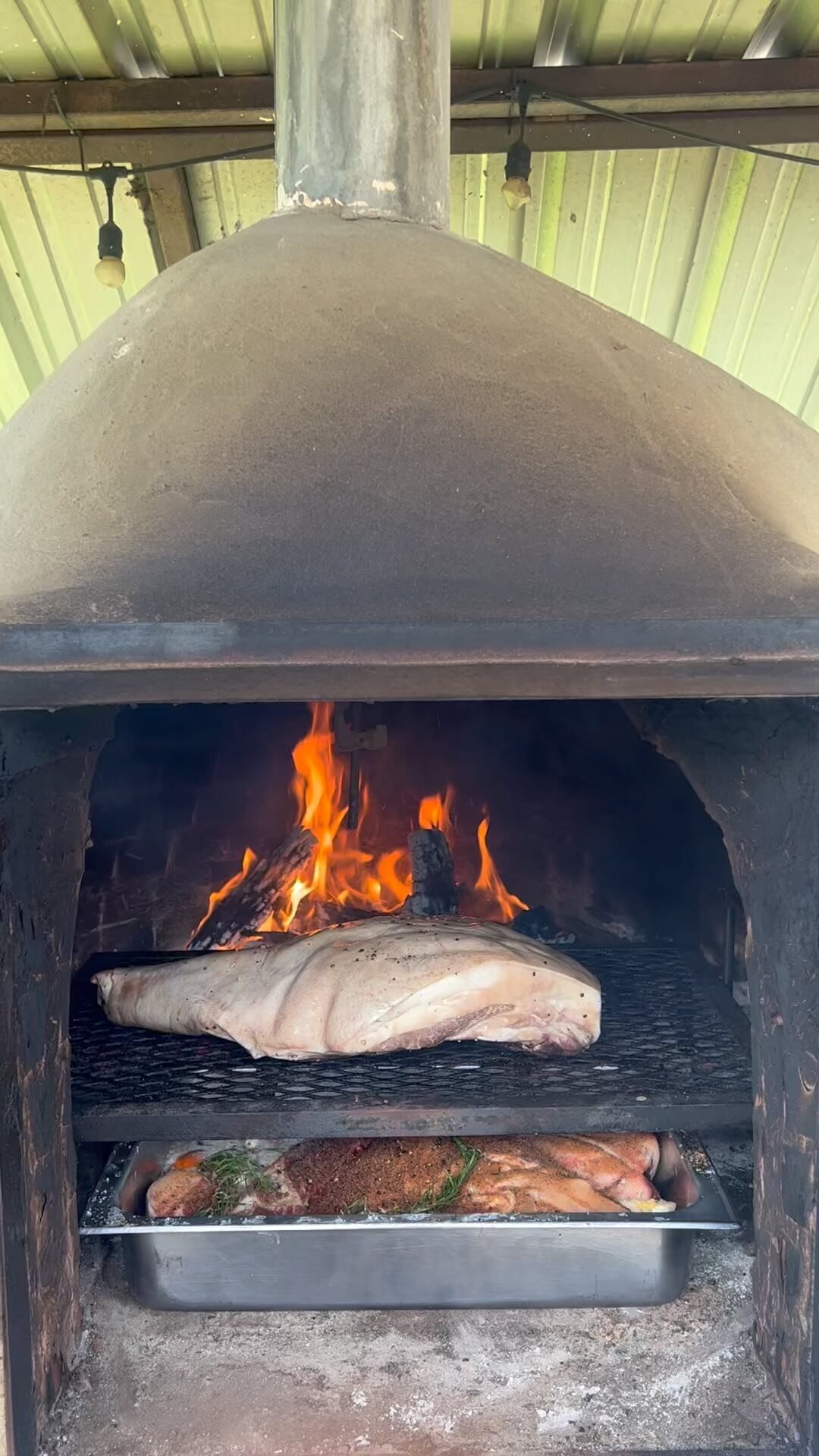 slow roasting this beautiful #mangalistsapig whole leg from @840_farm, you know I had to fire up the #hornodebarro with some mesquite and post oak wood from @gourmetwood #tortas #tacos #piernadecerdo #supportlocalfarmers #costillasdecerdo #cookingwi