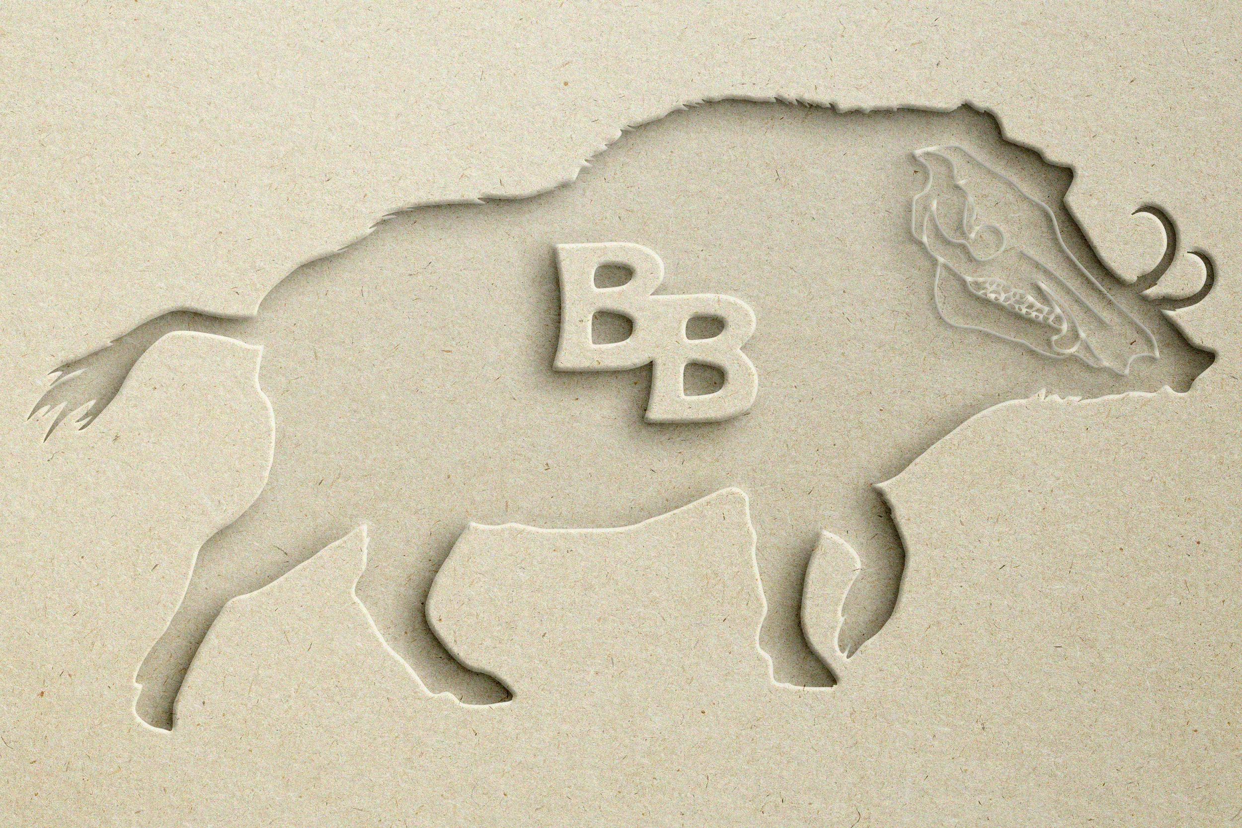 BB_Cutout.png