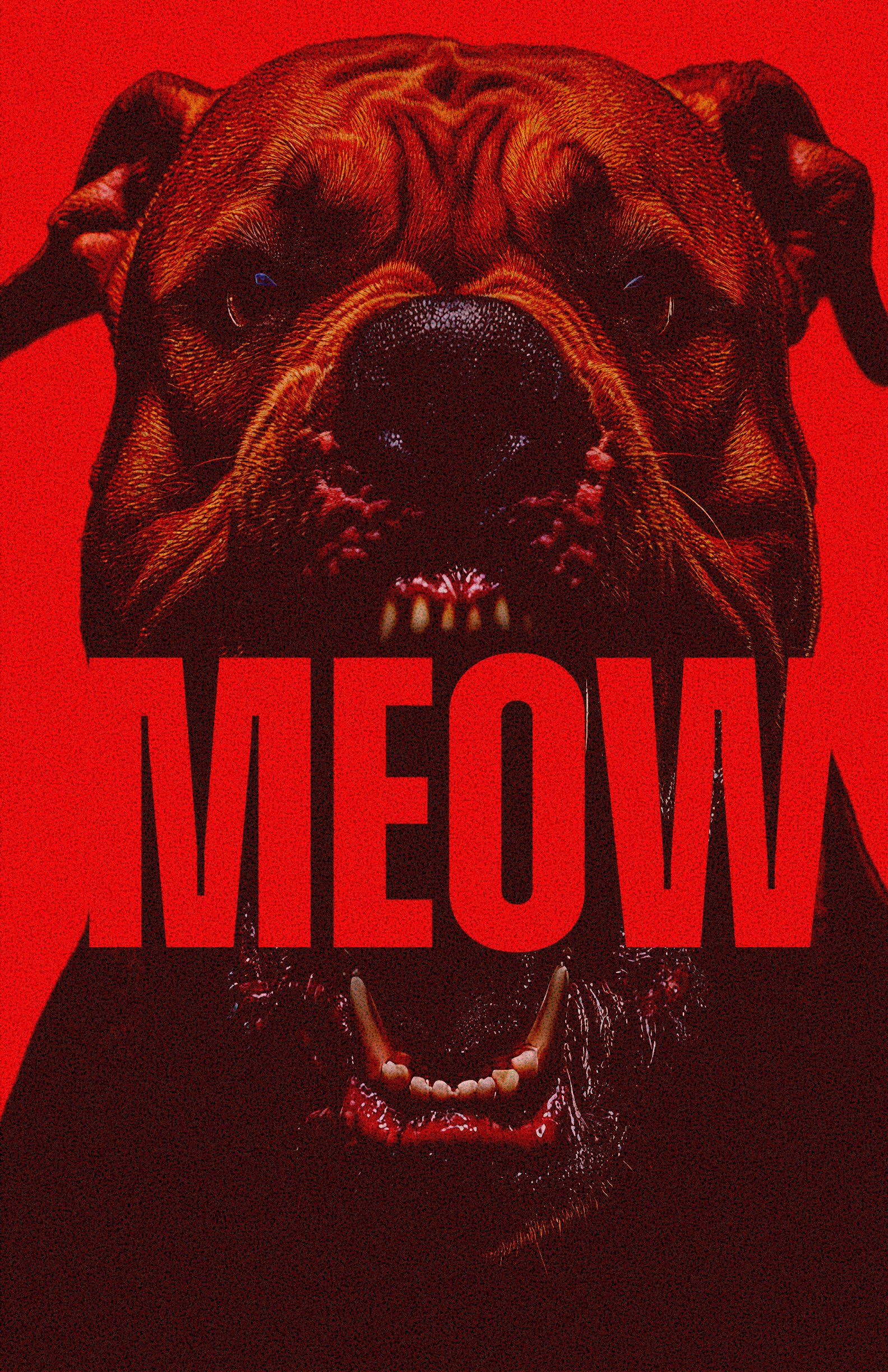 MEOW.png